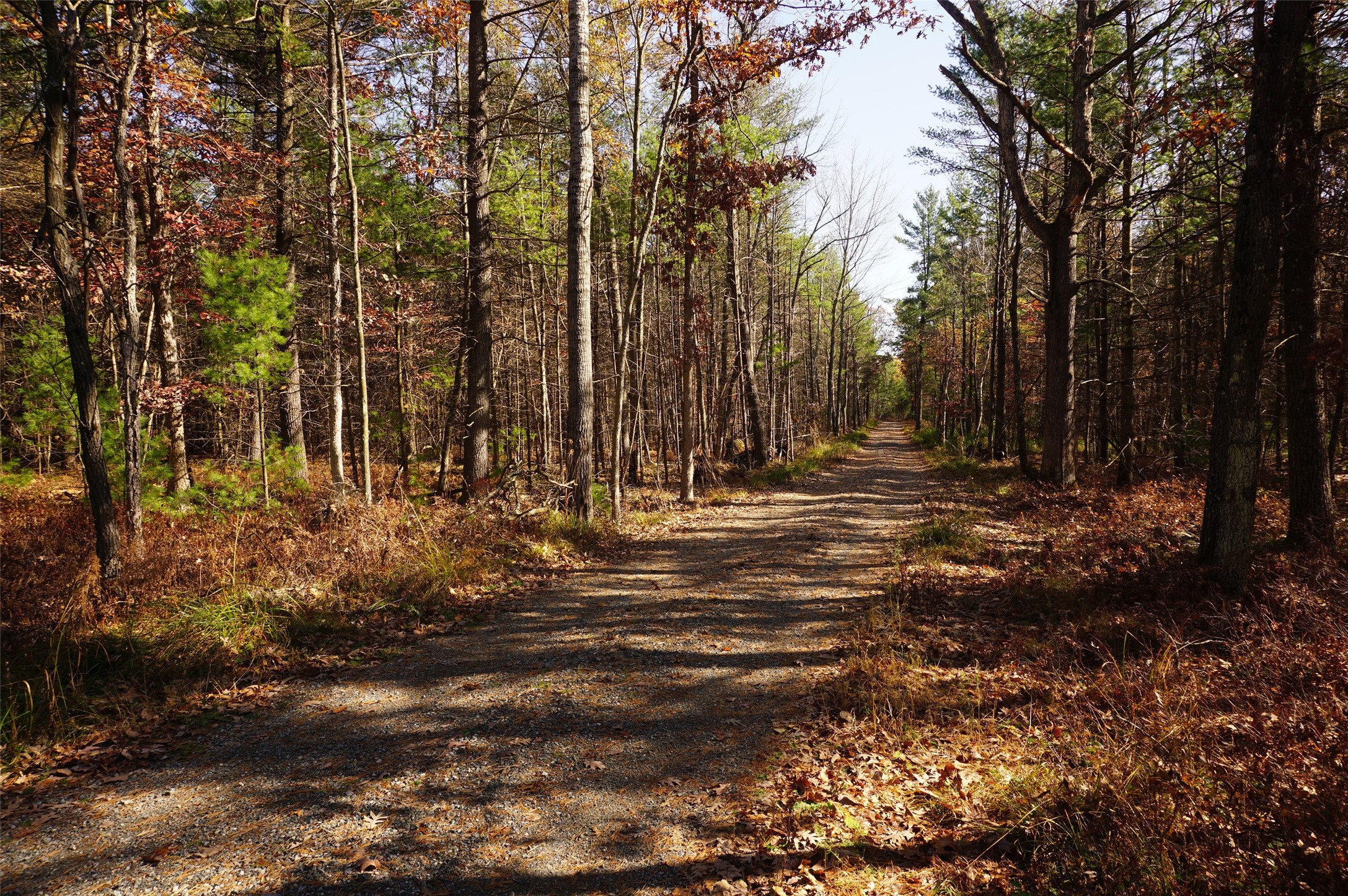 Lot 6 County Rd J Property Photo 1