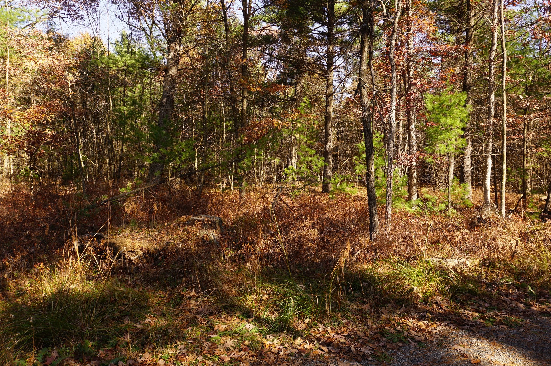 Lot 6 County Rd J Property Photo 2