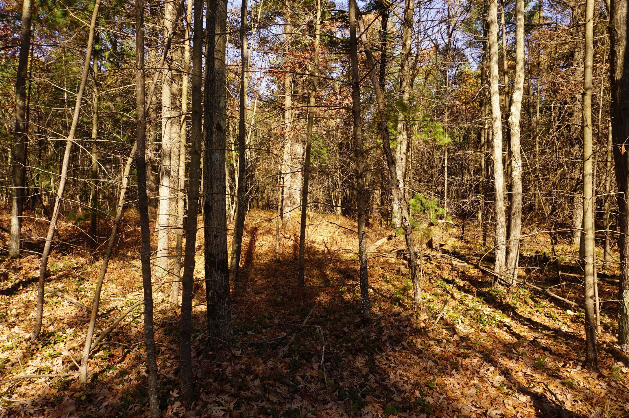 Lot 6 County Rd J Property Photo 3