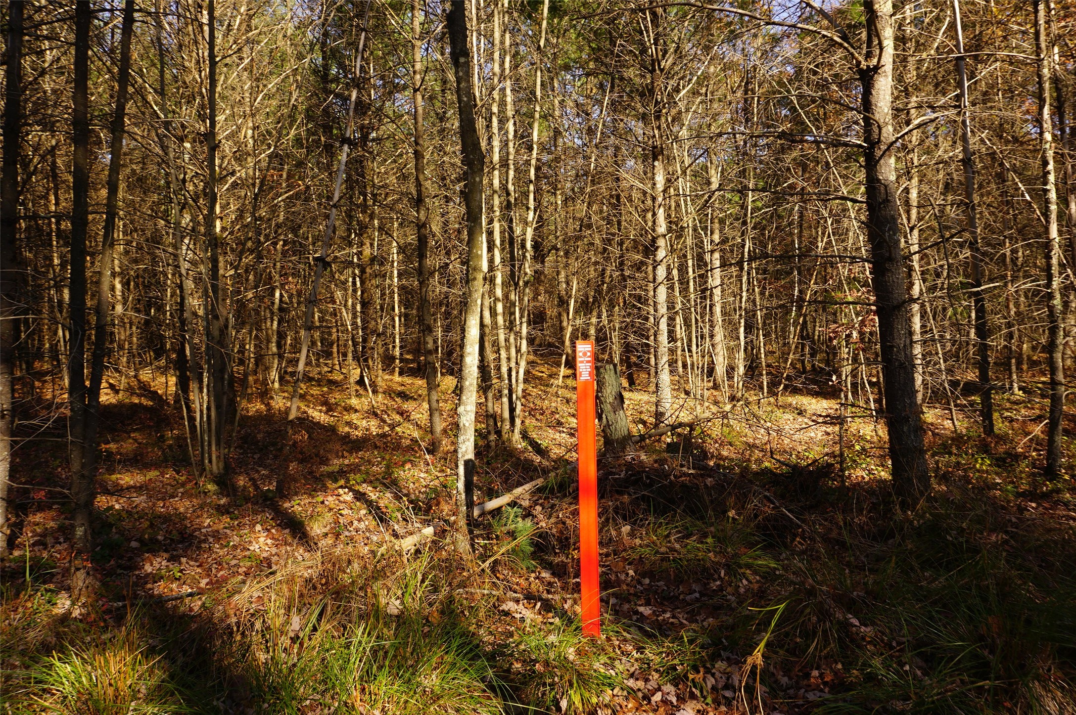 Lot 6 County Rd J Property Photo 6