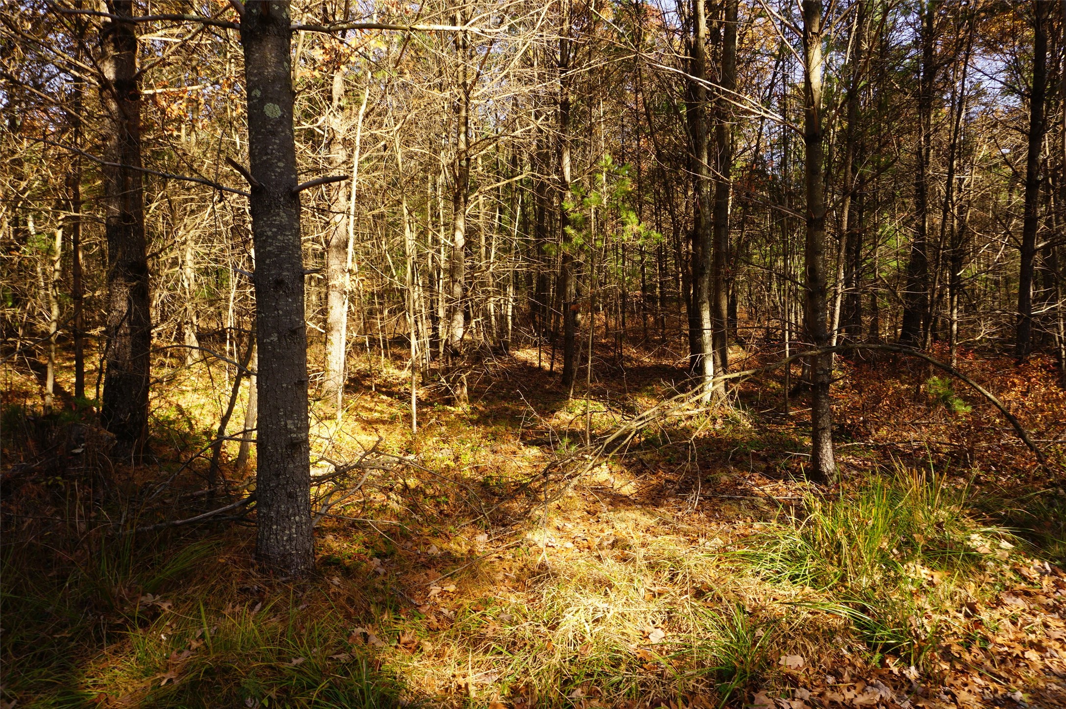 Lot 6 County Rd J Property Photo 8