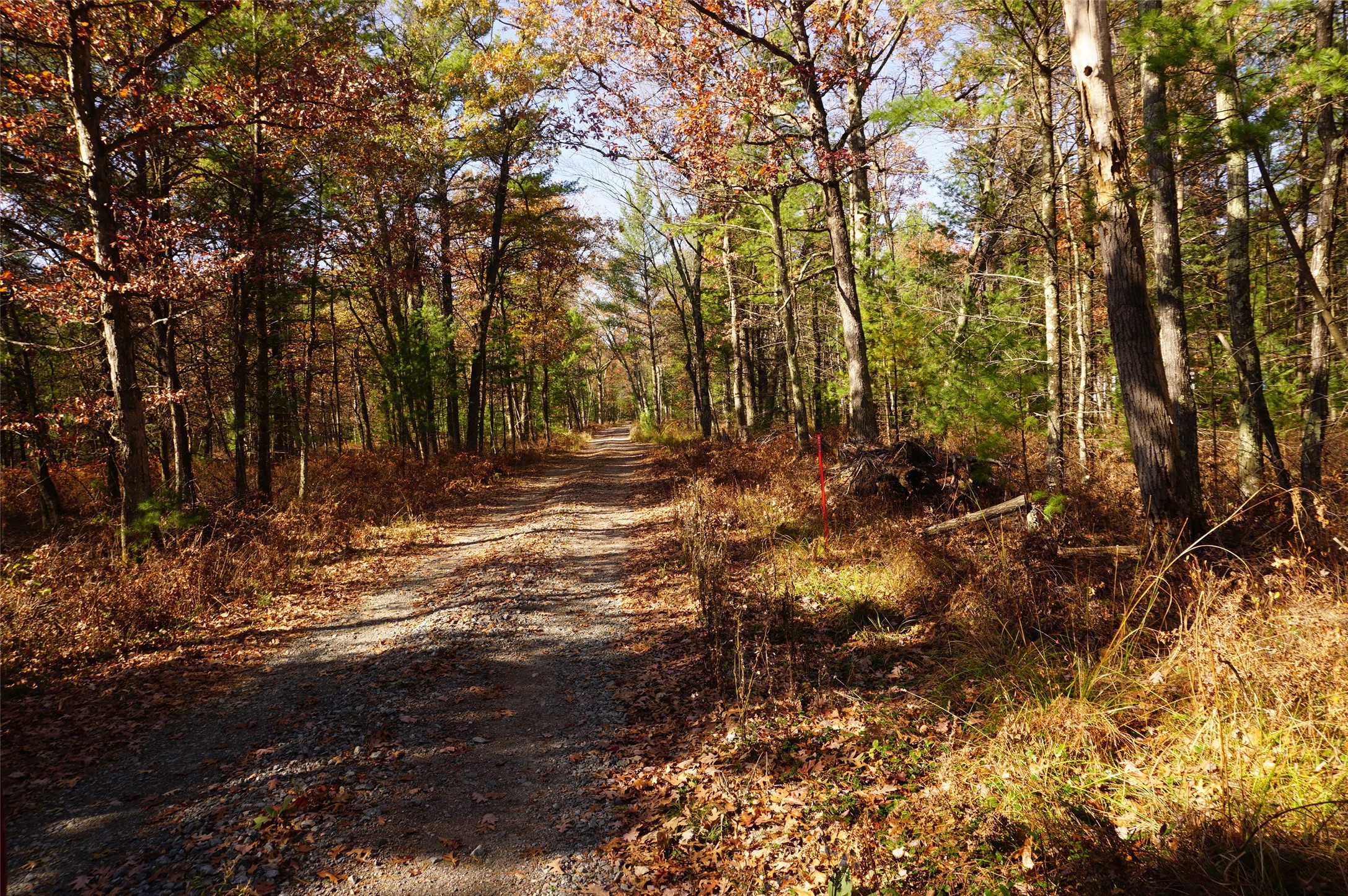 Lot 6 County Rd J Property Photo 9