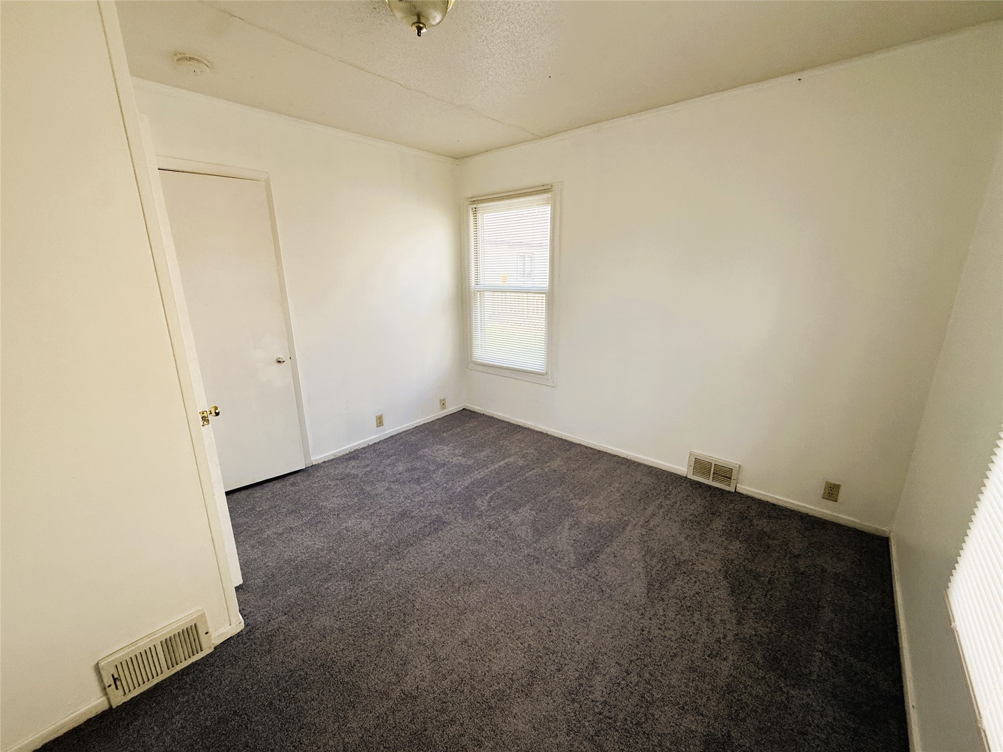 203 College Avenue Property Photo 15
