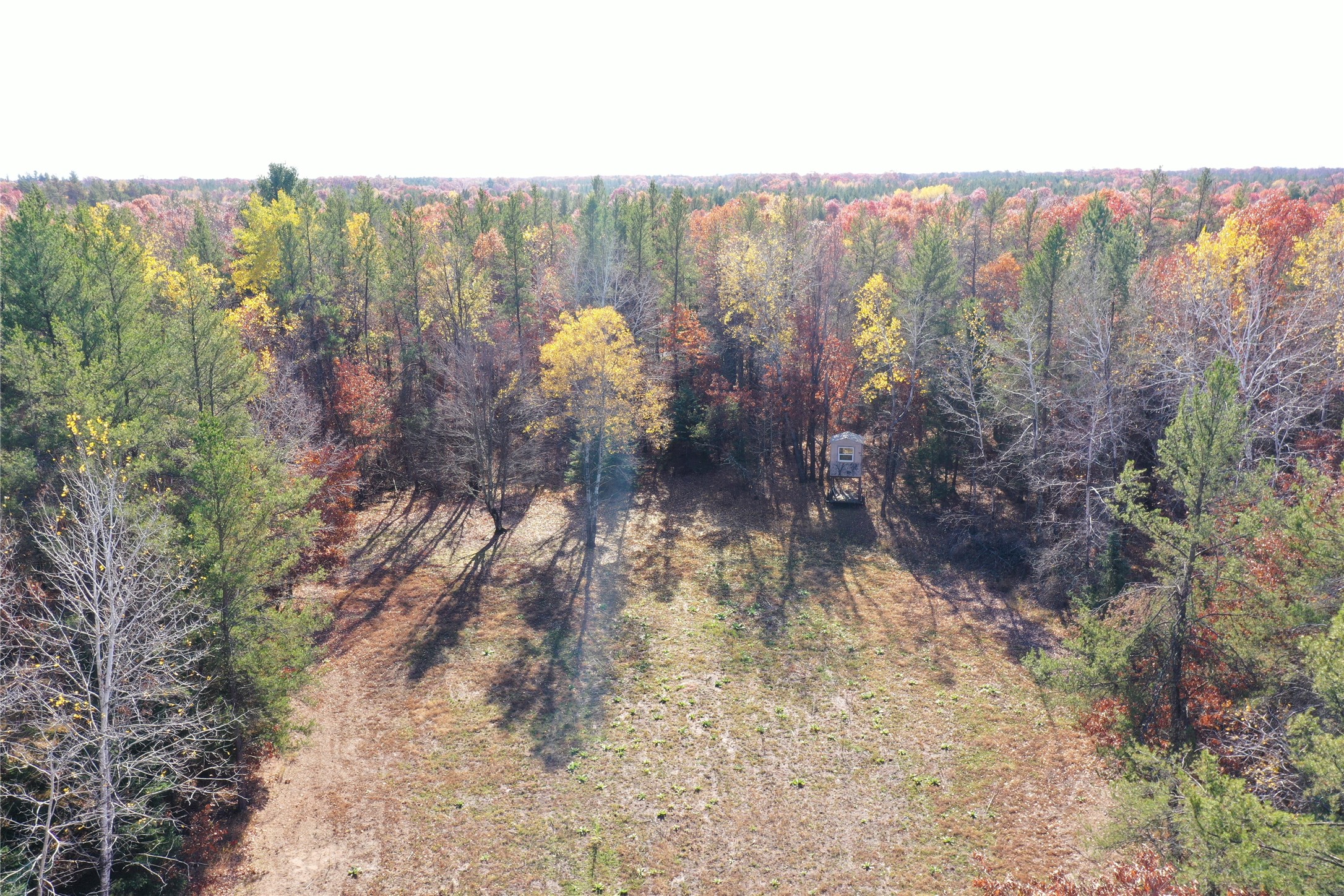 Lot 2 Spaulding Road Property Photo 5