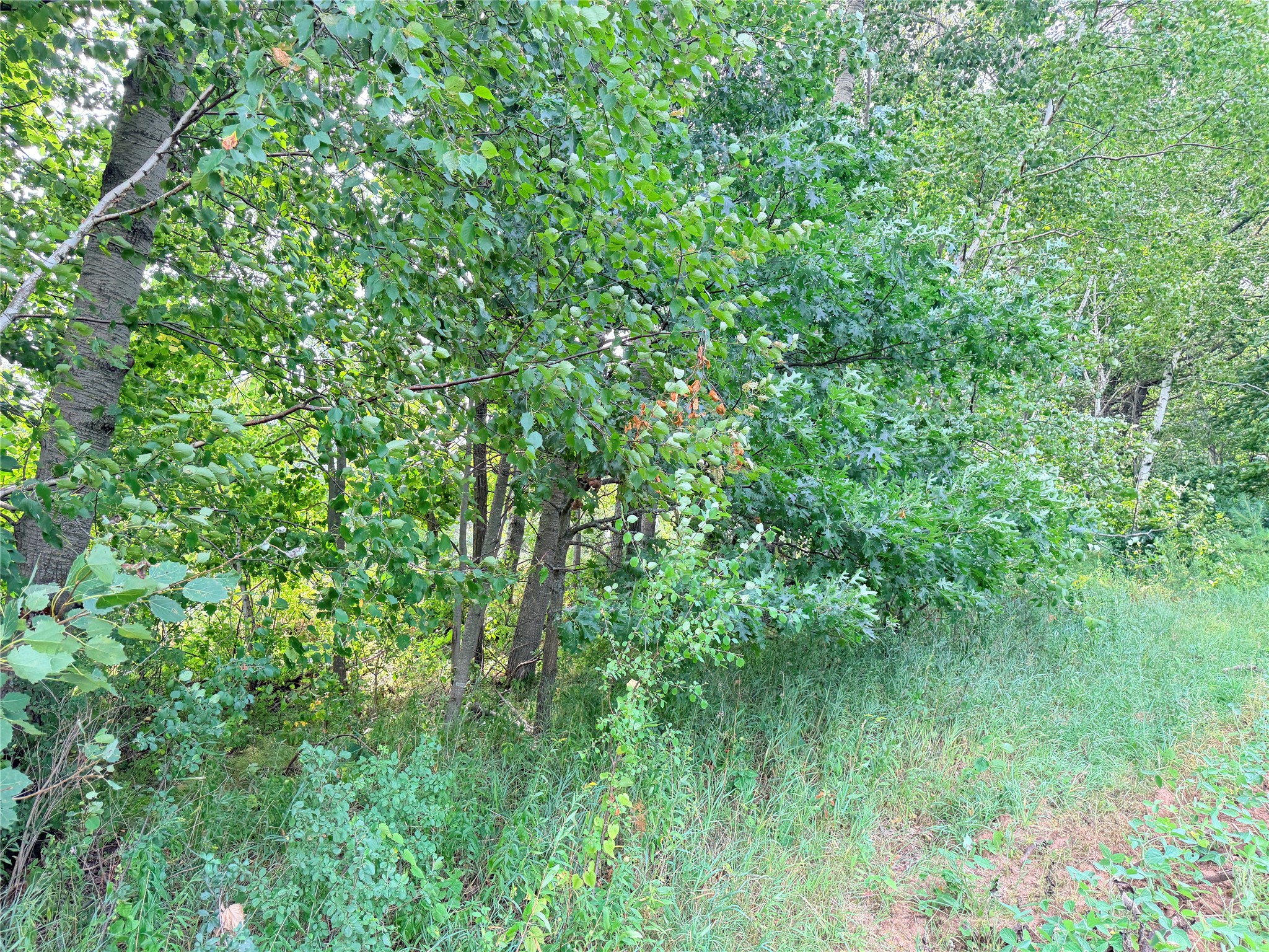 15 Acres 215th Street Property Photo 5
