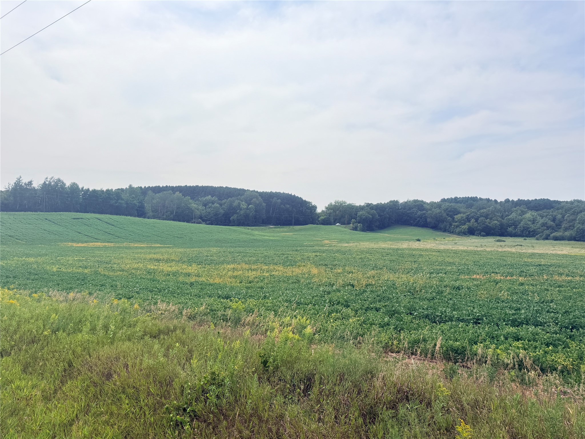 15 Acres 215th Street Property Photo 24