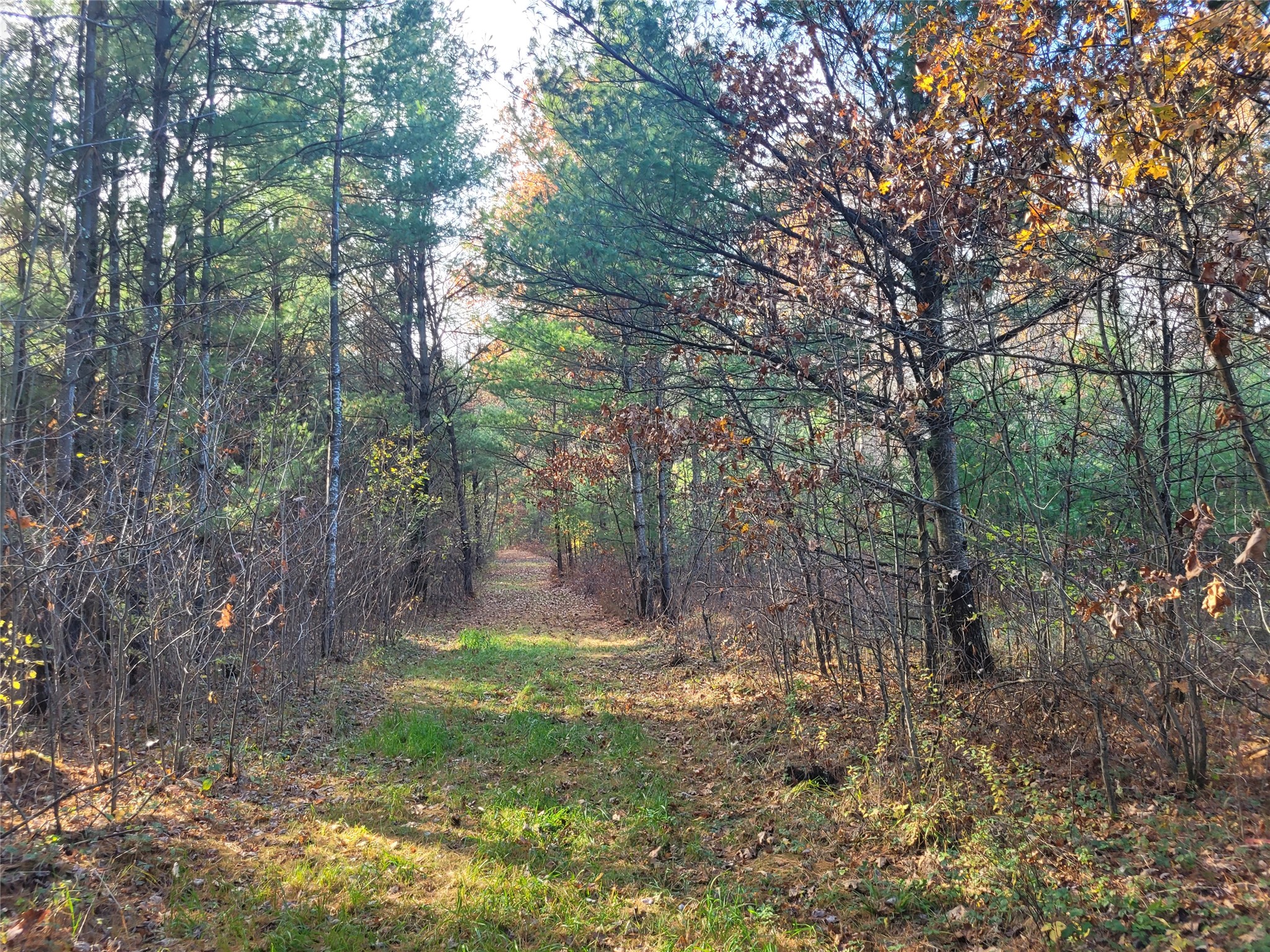 N10835 Kovar Road Property Photo 1
