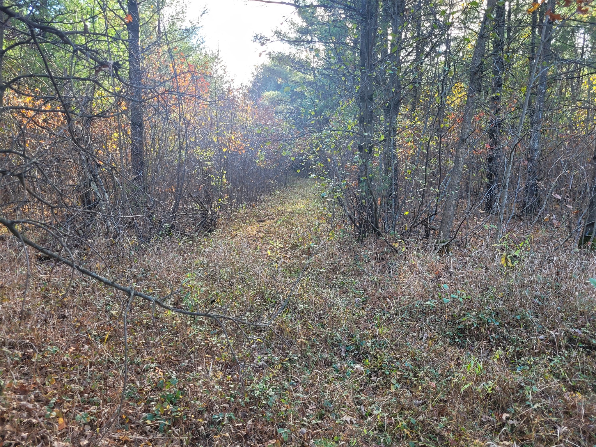 N10835 Kovar Road Property Photo 2