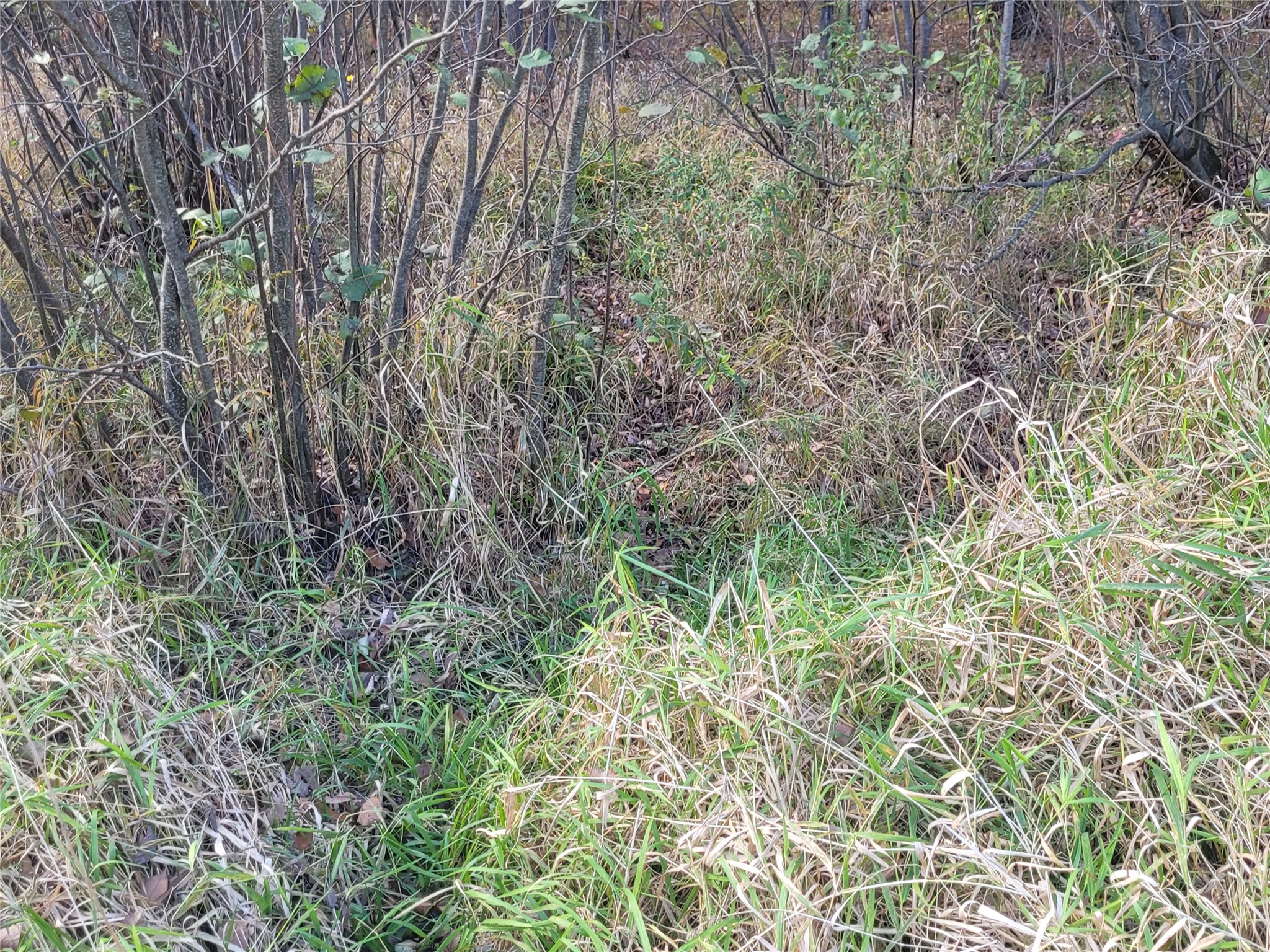 N10835 Kovar Road Property Photo 5