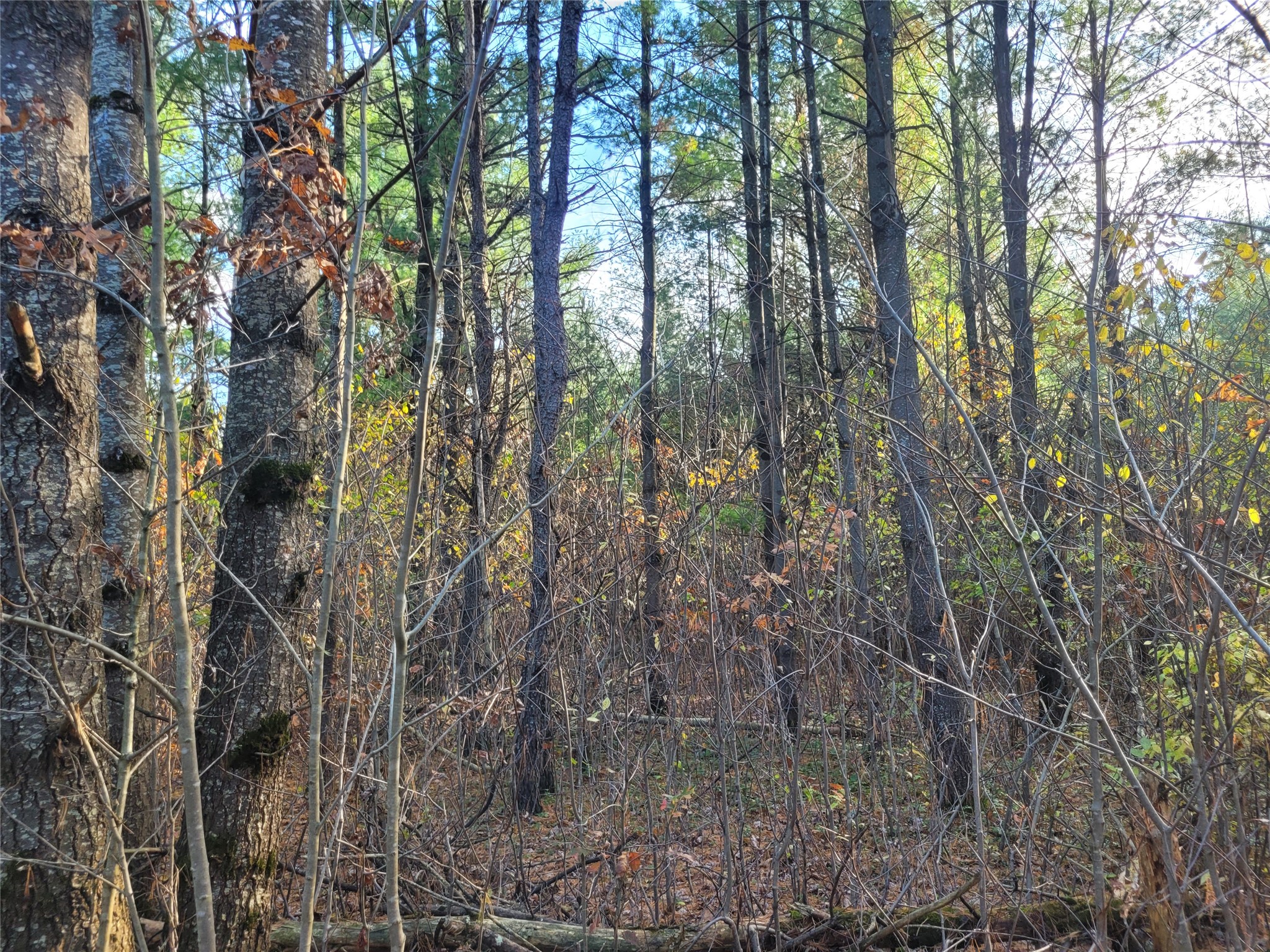N10835 Kovar Road Property Photo 6