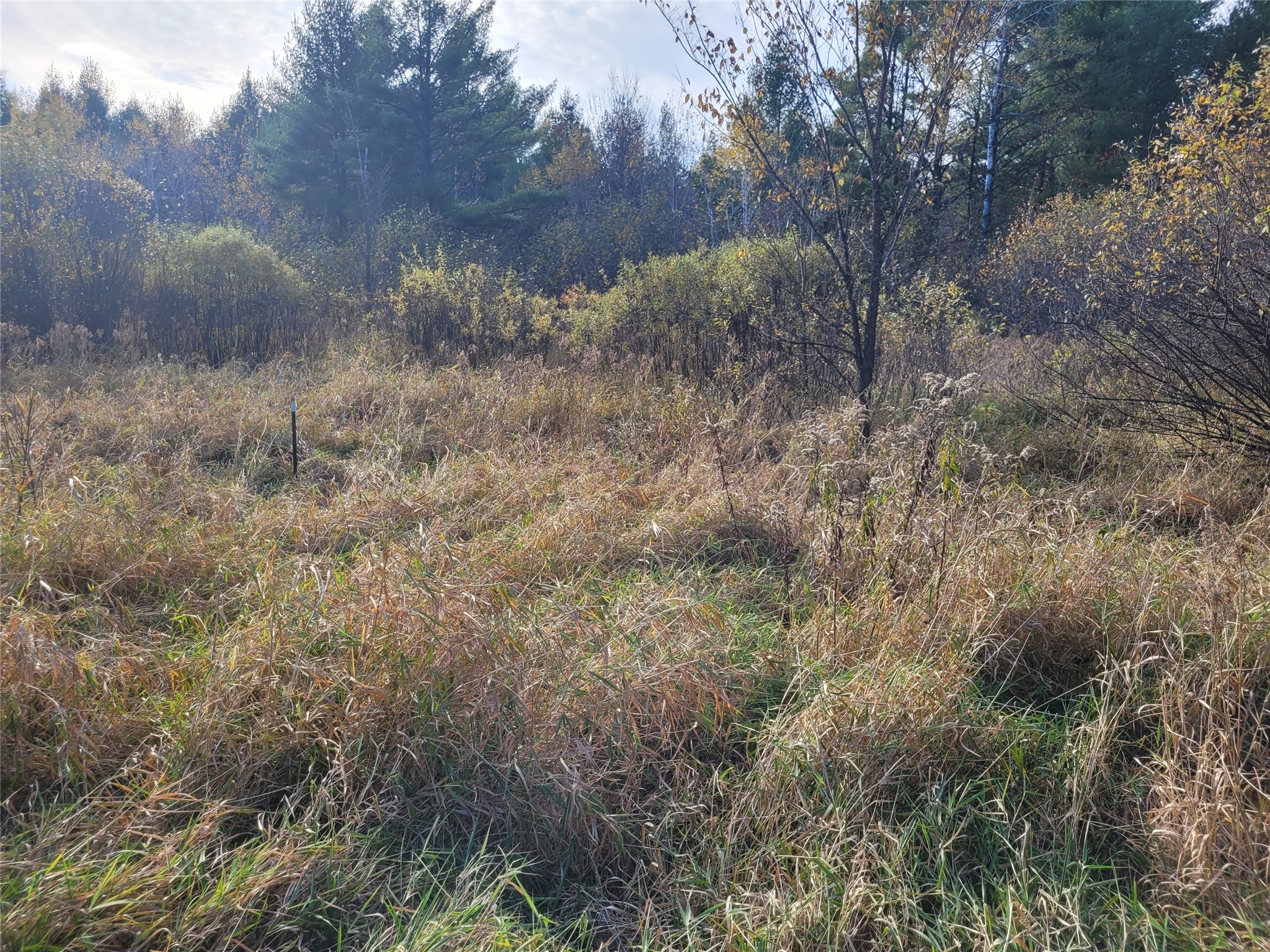N10835 Kovar Road Property Photo 8