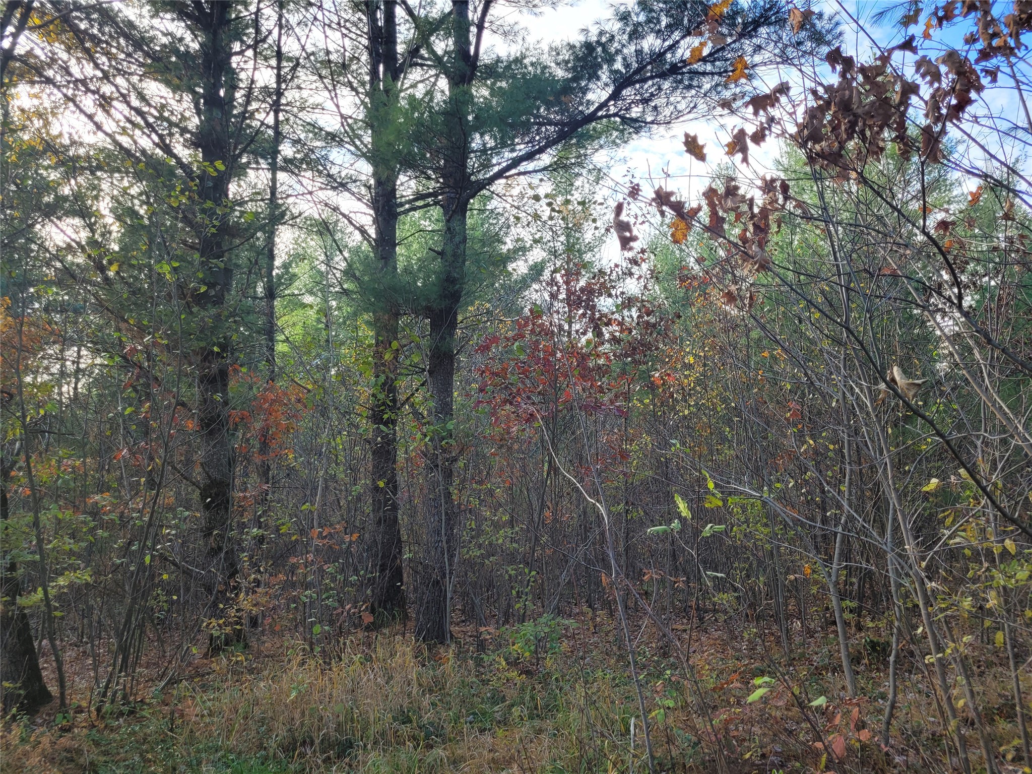 N10835 Kovar Road Property Photo 10