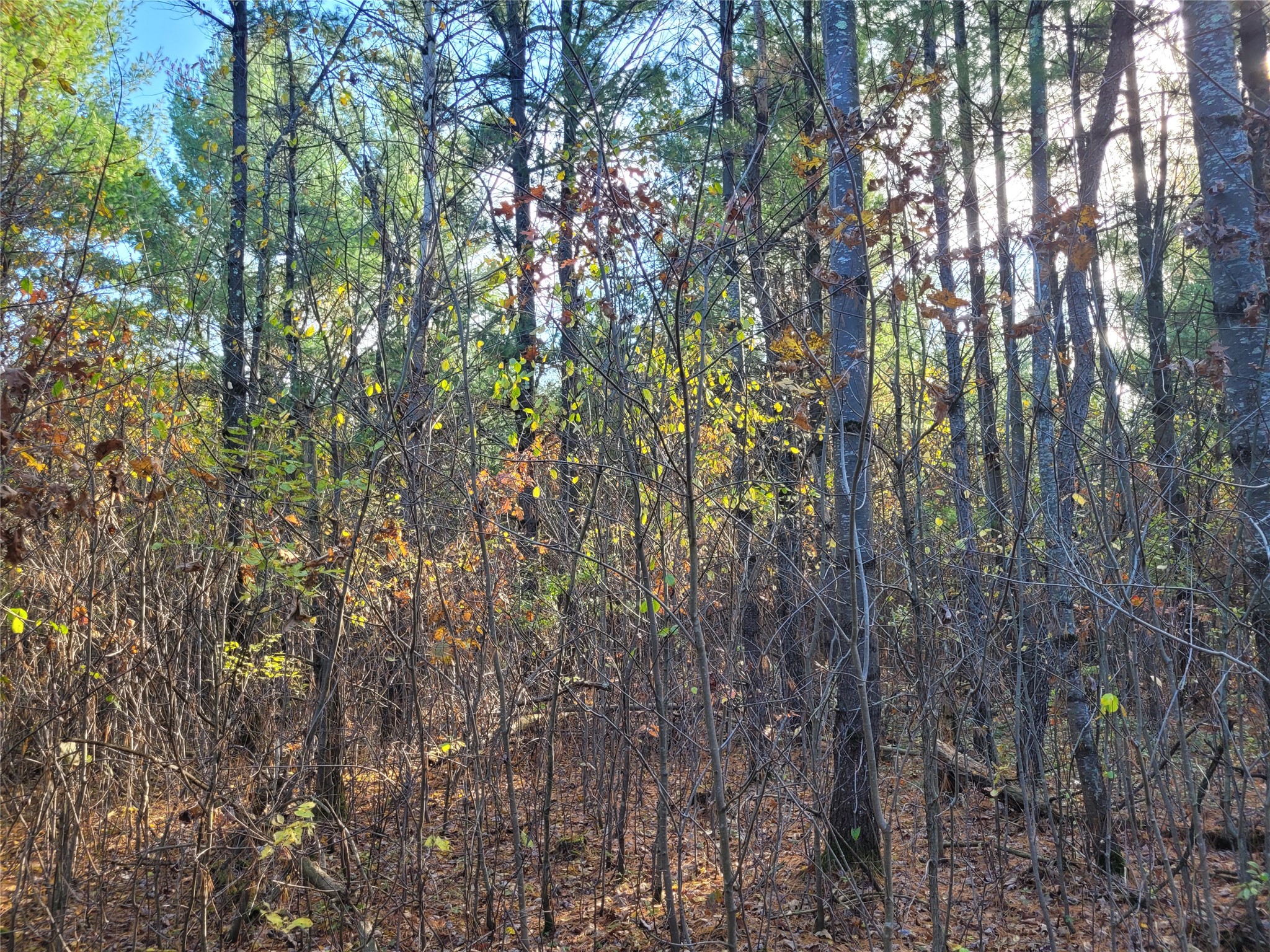 N10835 Kovar Road Property Photo 11