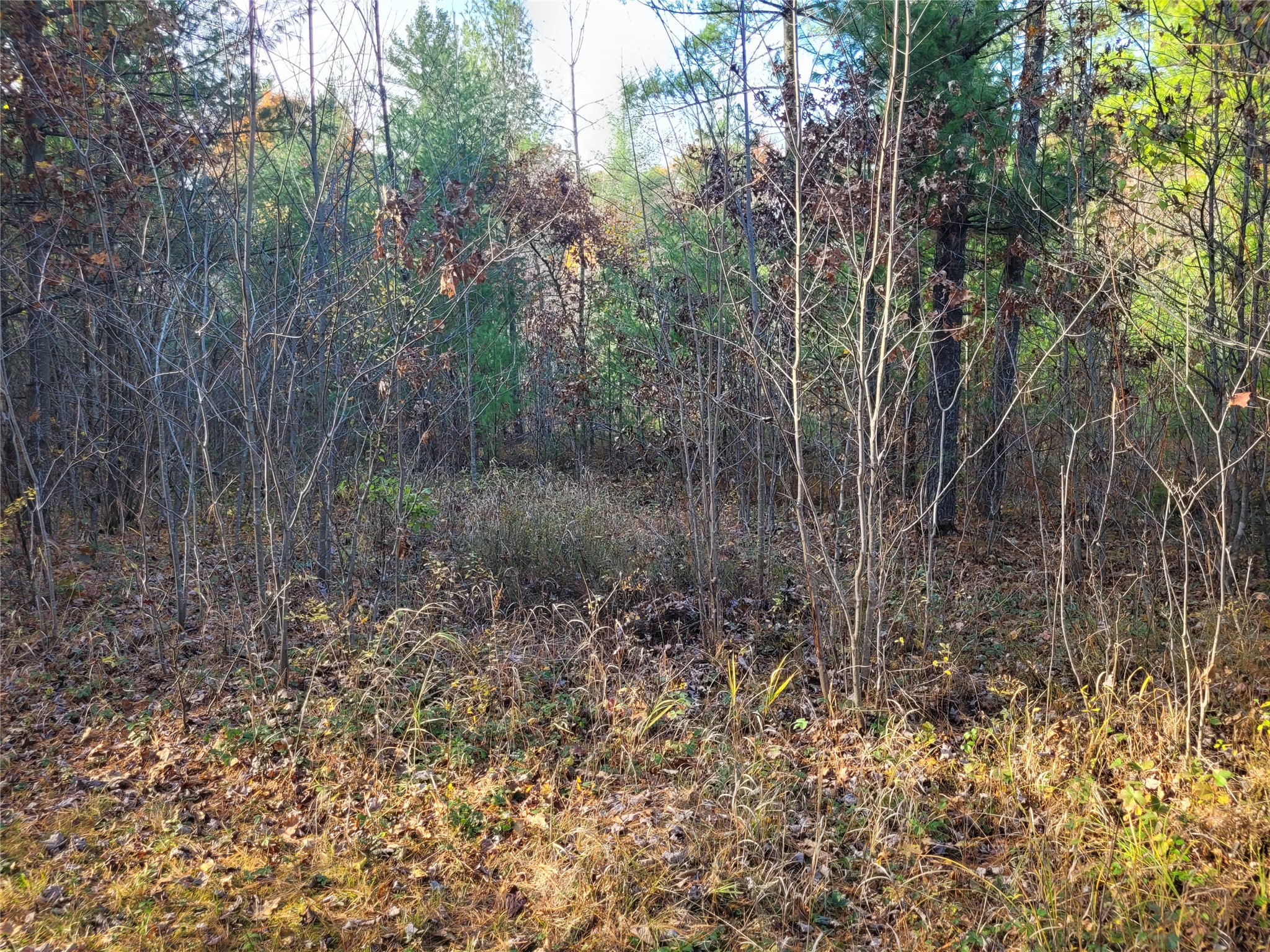 N10835 Kovar Road Property Photo 12