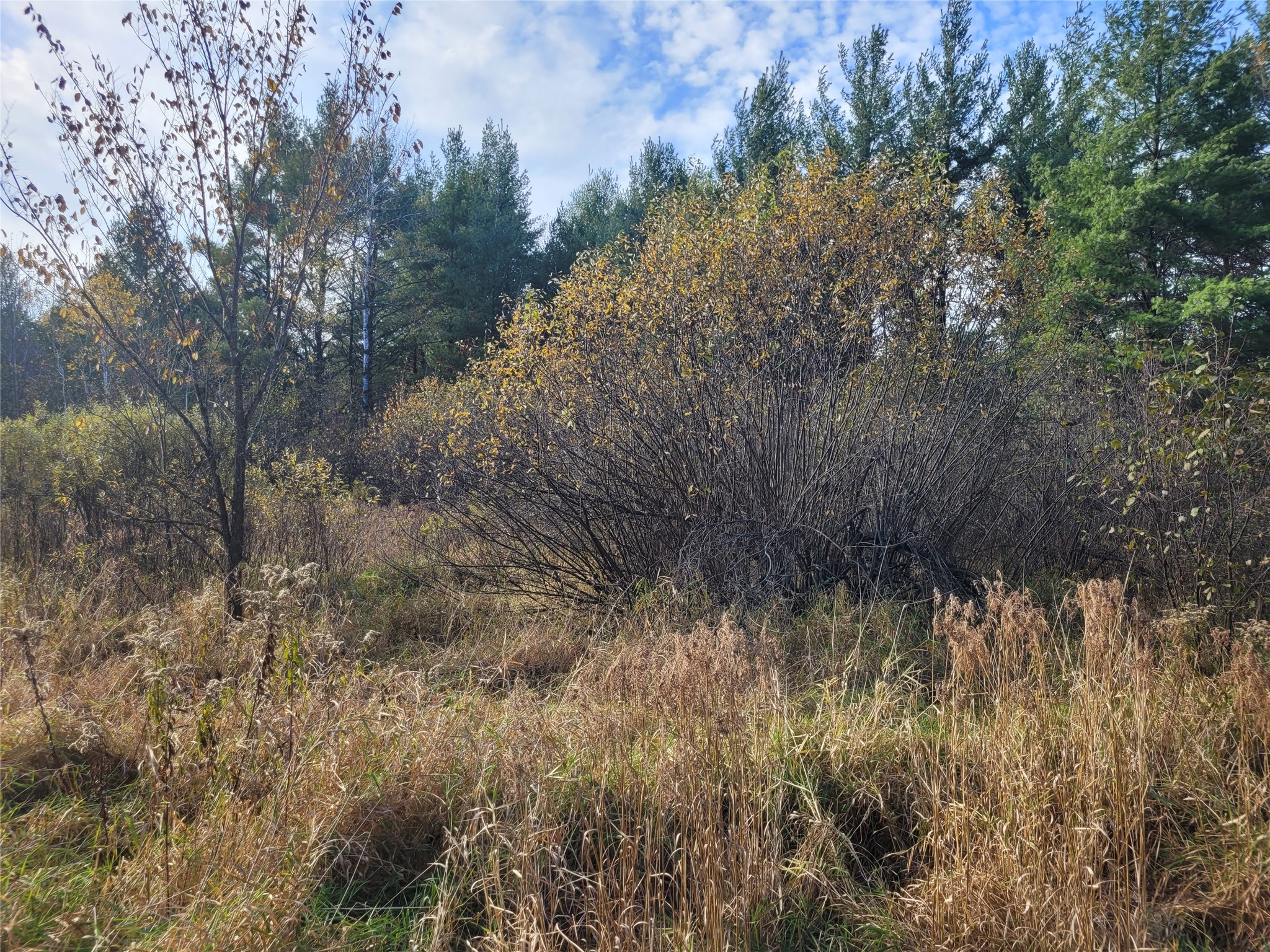 N10835 Kovar Road Property Photo 13