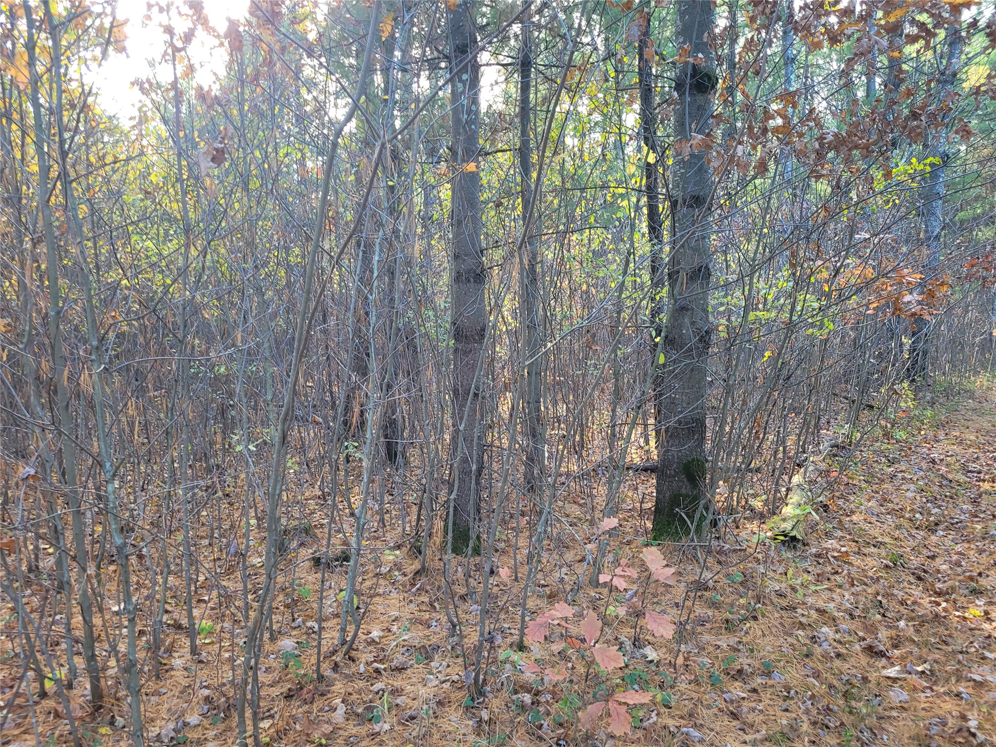 N10835 Kovar Road Property Photo 14