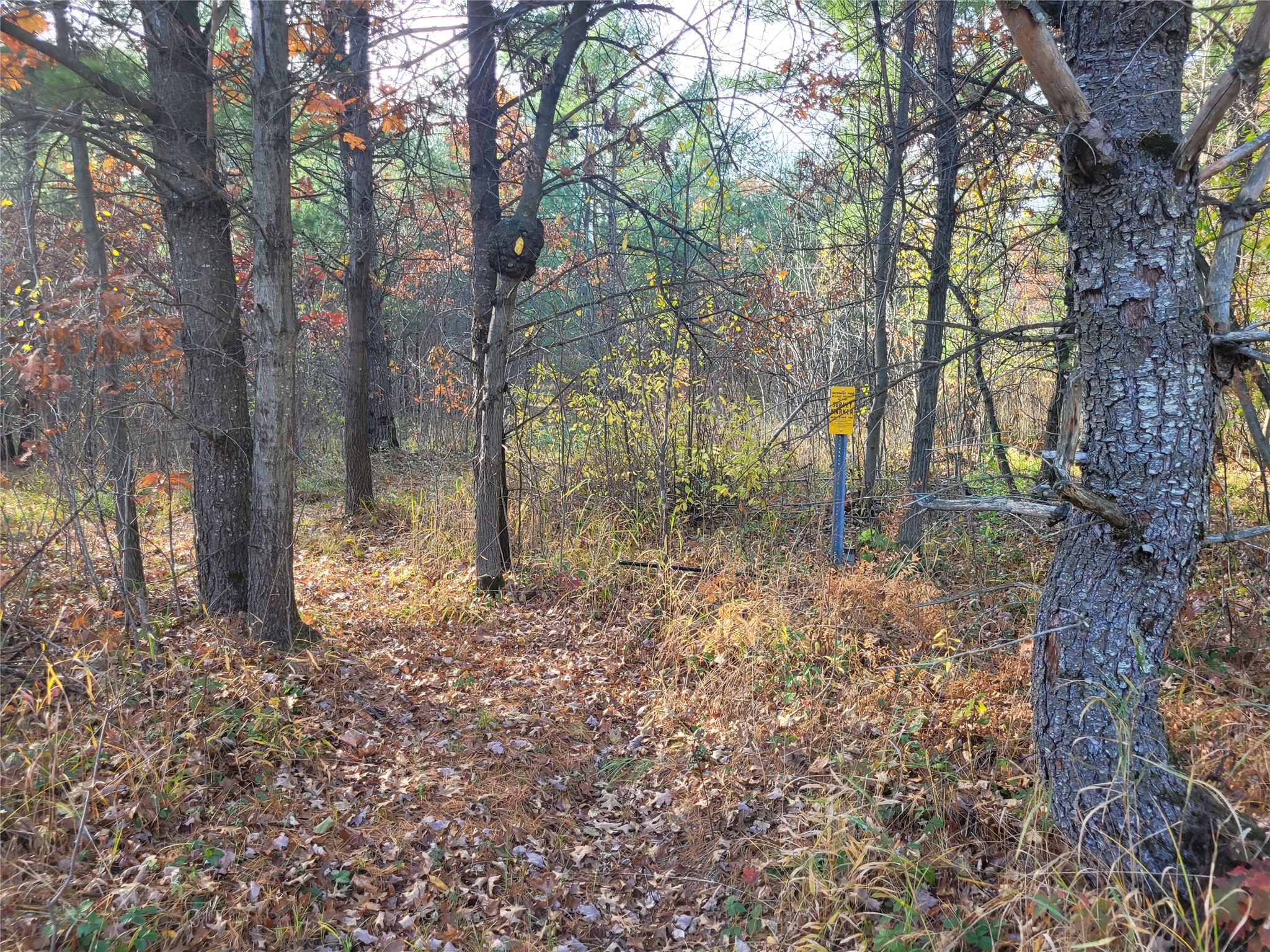 N10835 Kovar Road Property Photo 15
