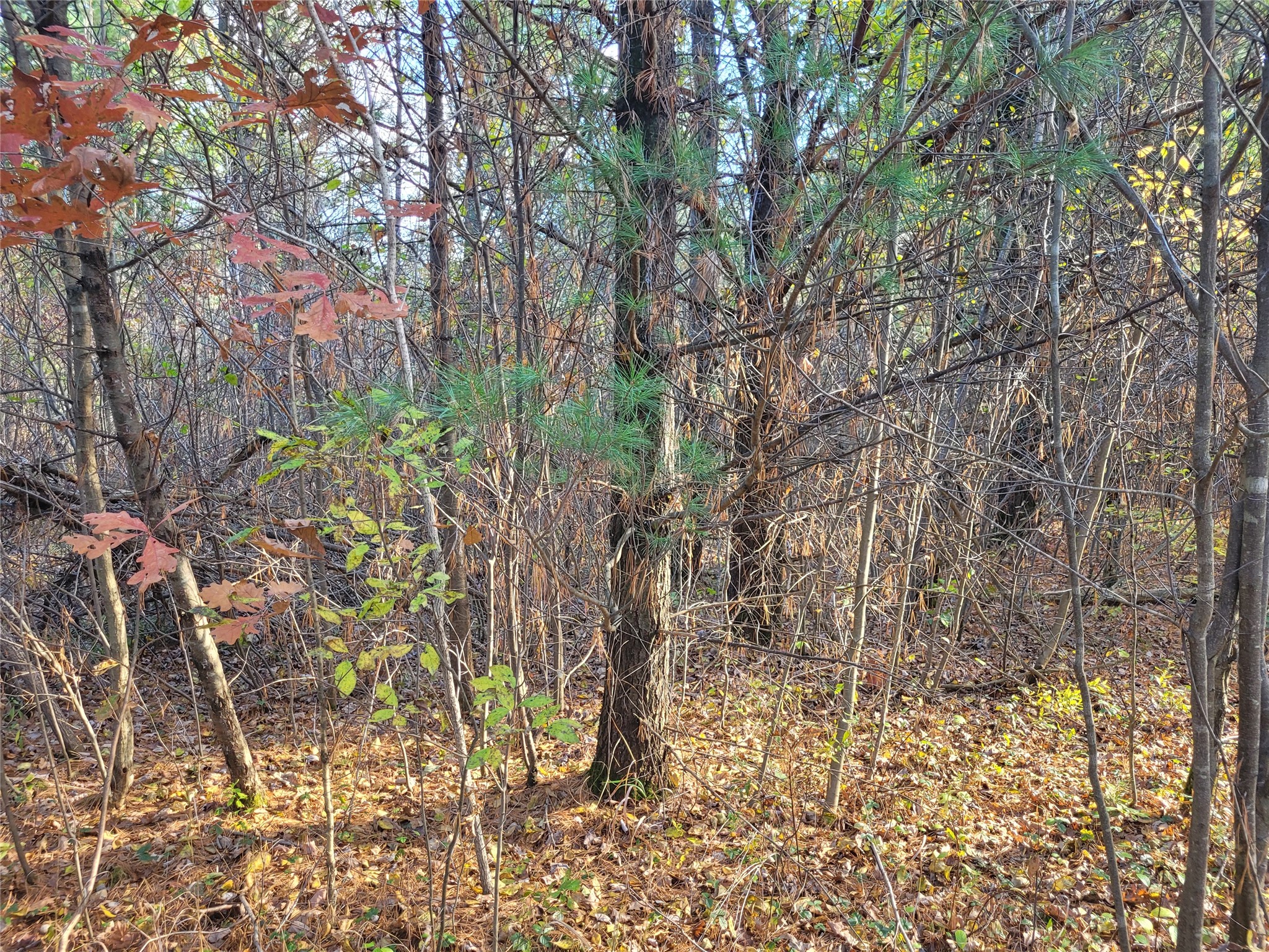 N10835 Kovar Road Property Photo 16
