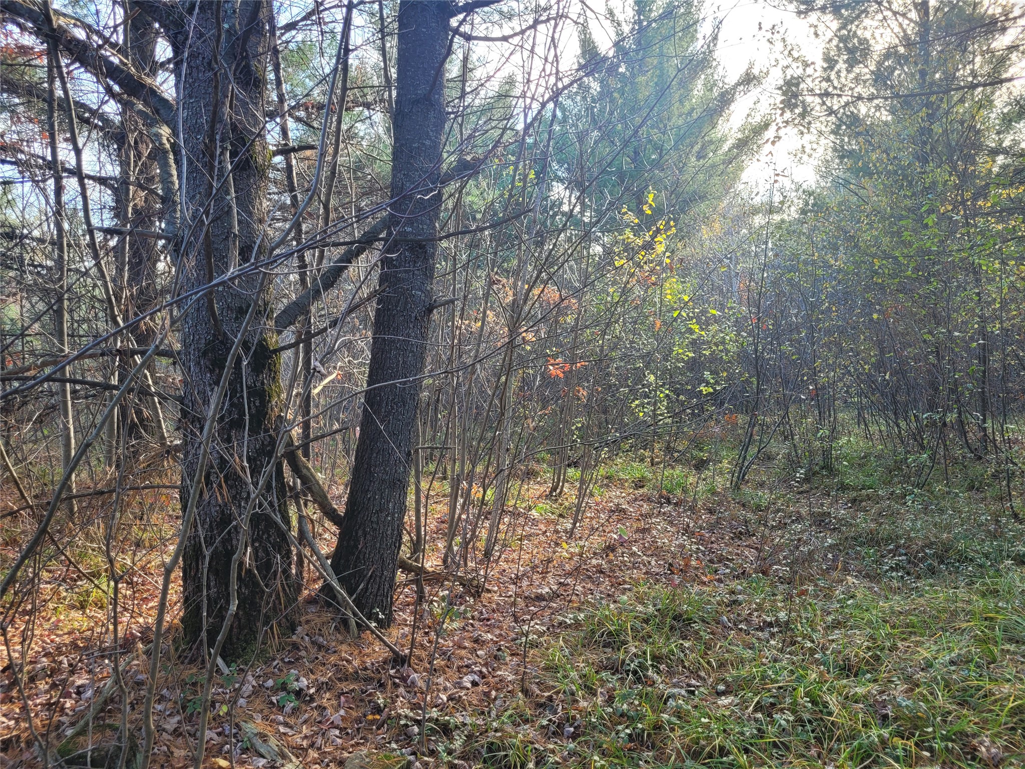 N10835 Kovar Road Property Photo 17
