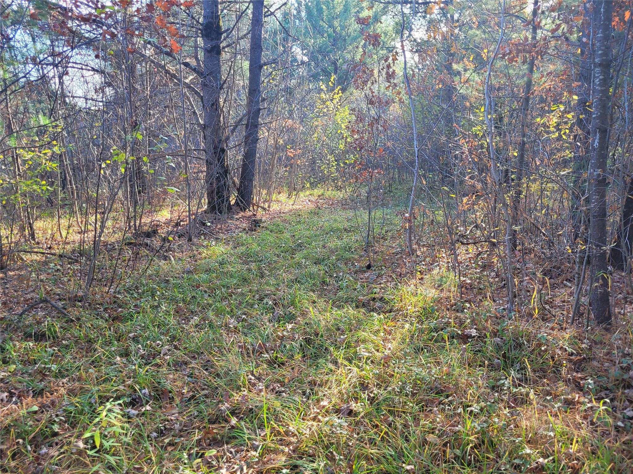 N10835 Kovar Road Property Photo 18