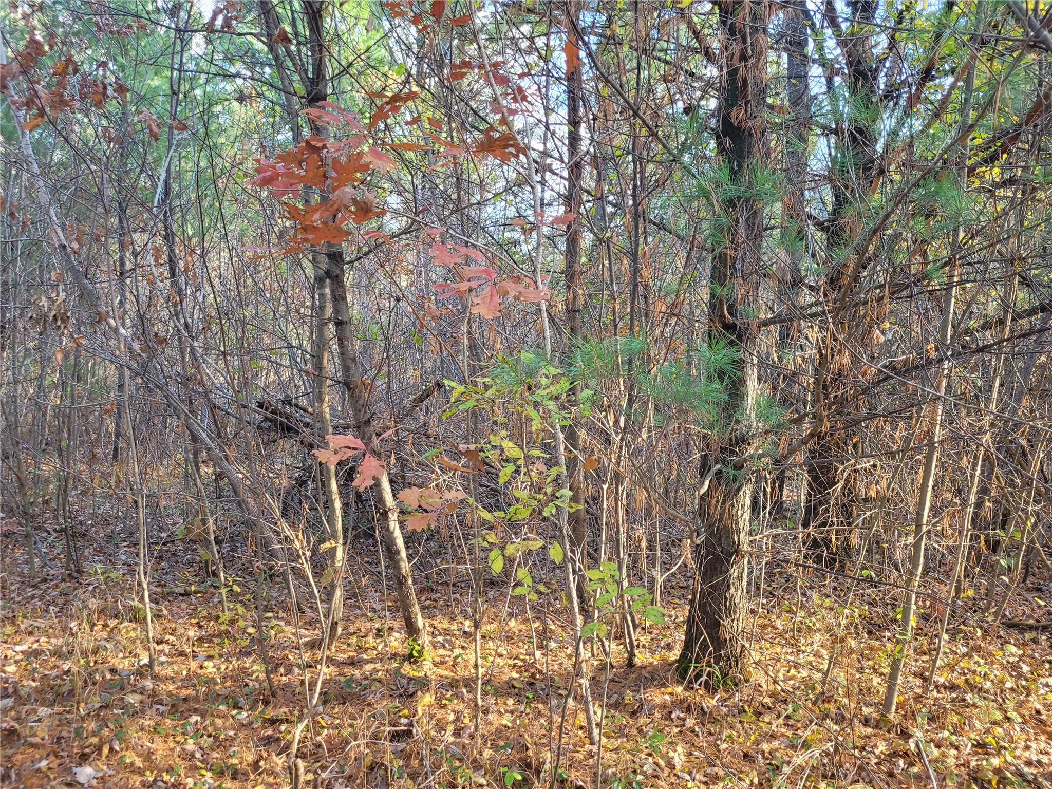 N10835 Kovar Road Property Photo 19