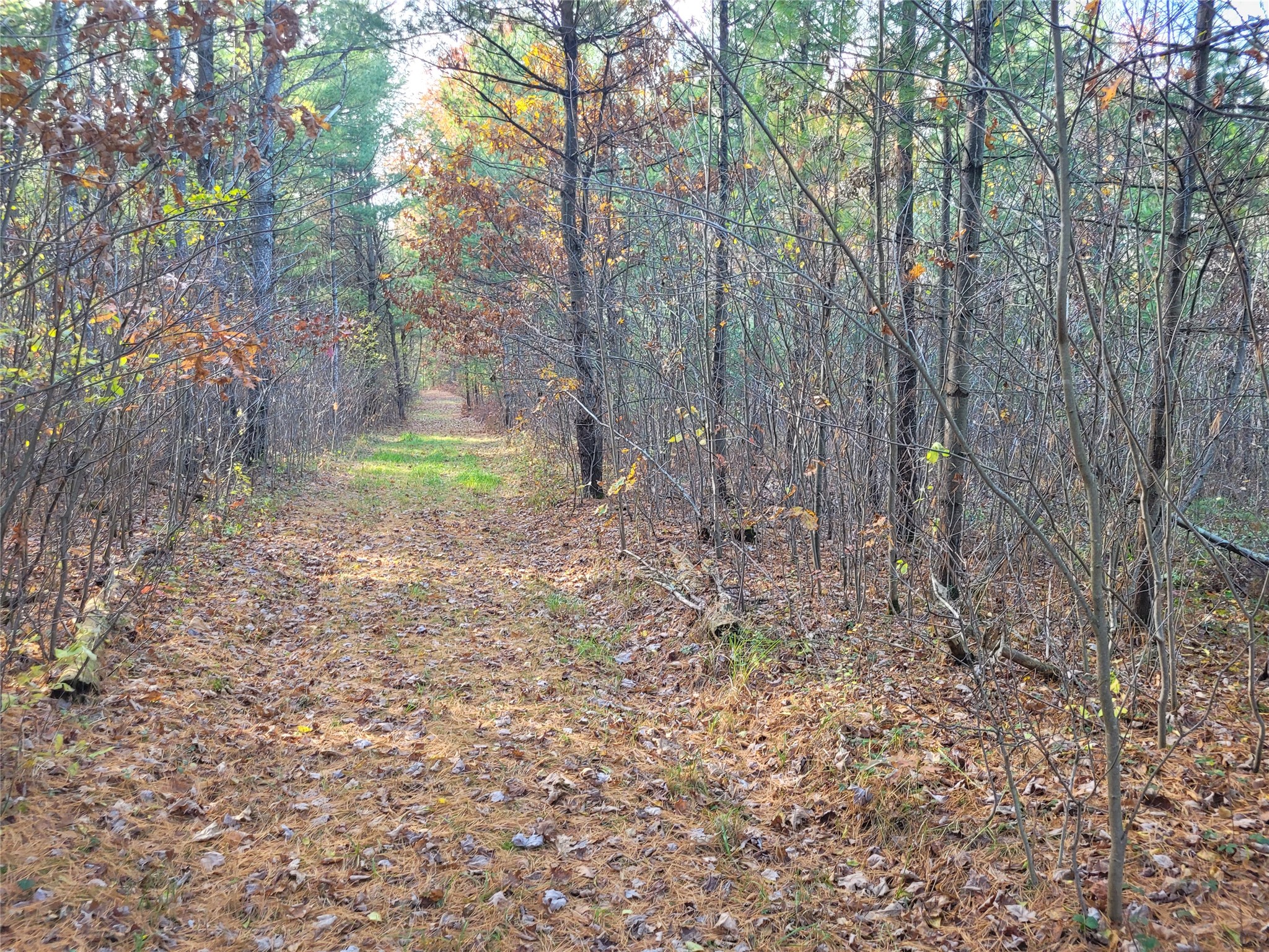 N10835 Kovar Road Property Photo 20