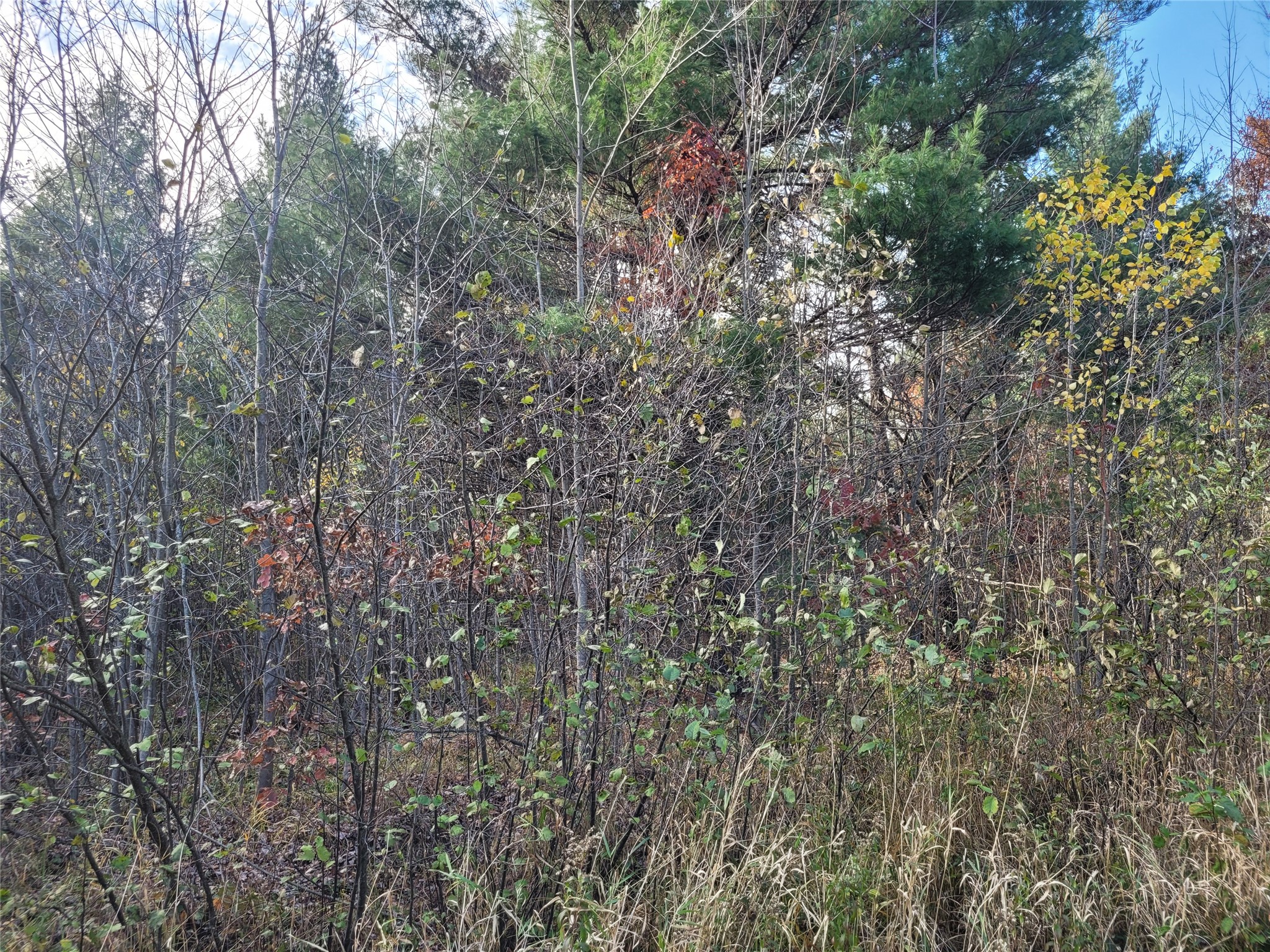 N10835 Kovar Road Property Photo 22