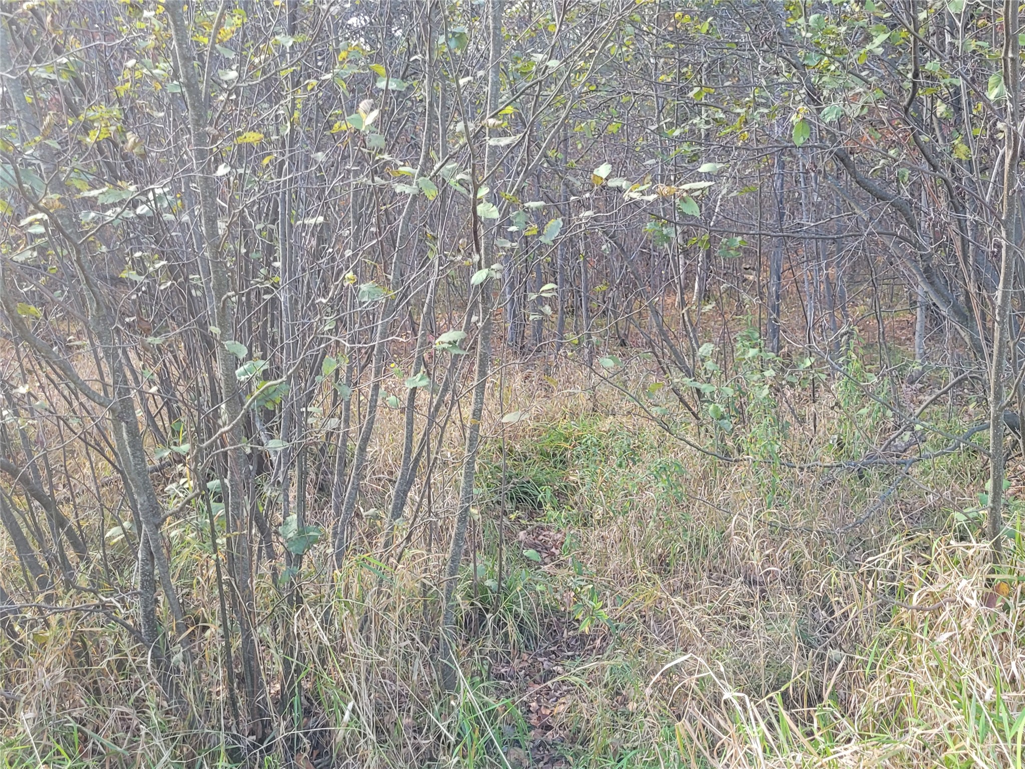 N10835 Kovar Road Property Photo 23