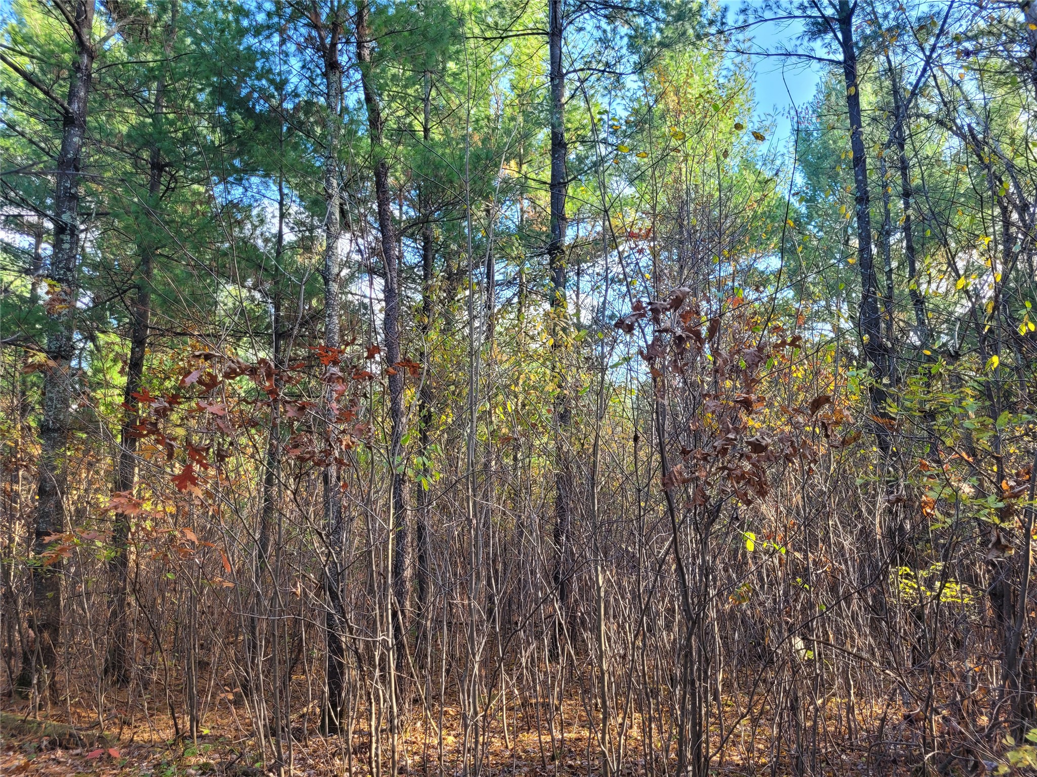 N10835 Kovar Road Property Photo 25