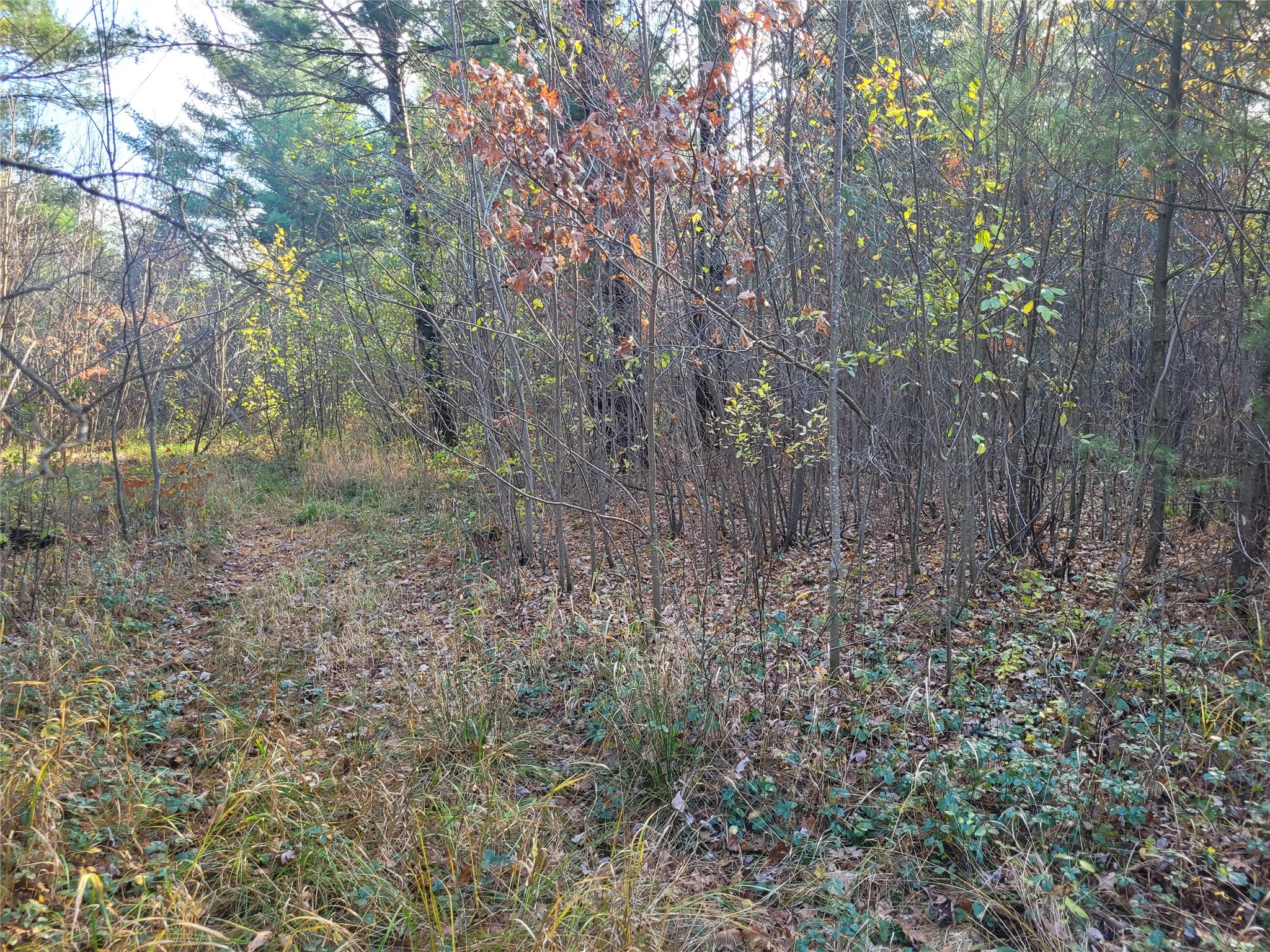 N10835 Kovar Road Property Photo 26