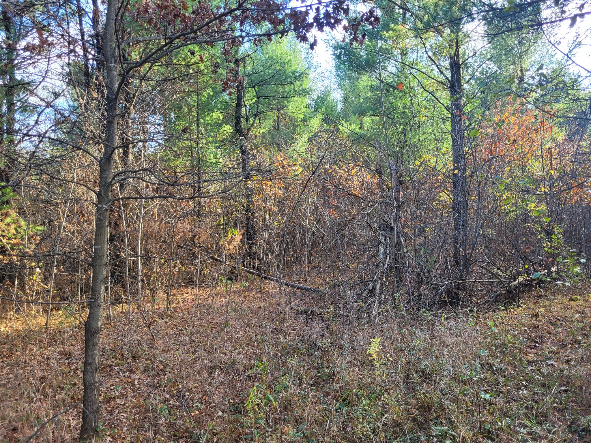 N10835 Kovar Road Property Photo 27