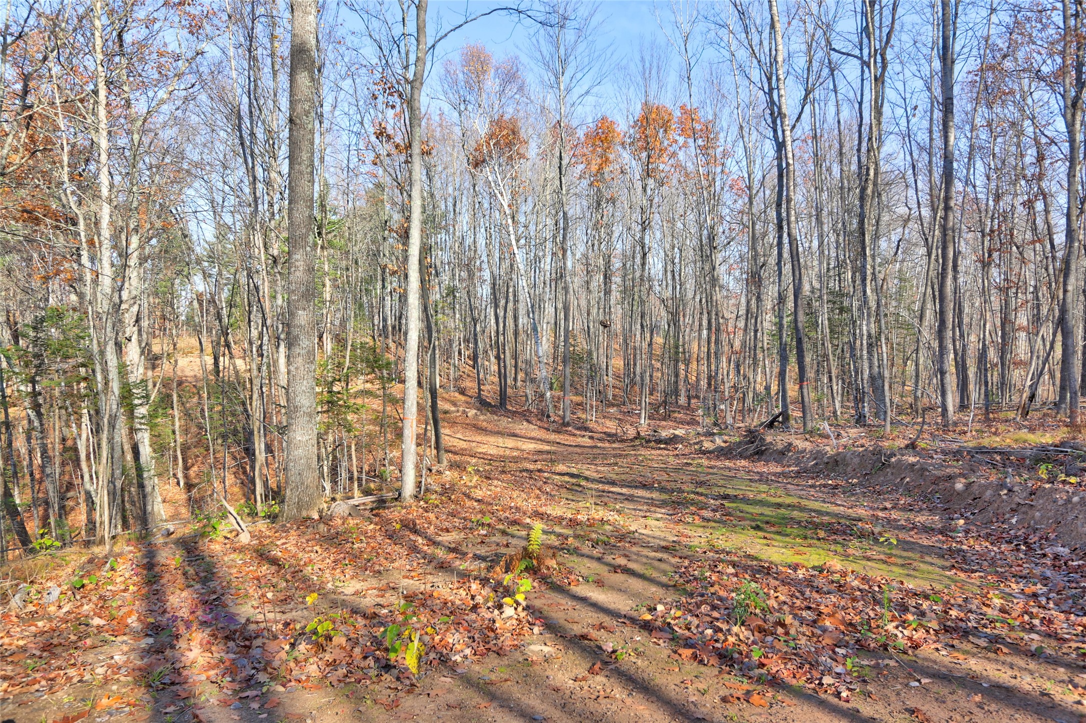 13109w Nova Road Property Photo 1
