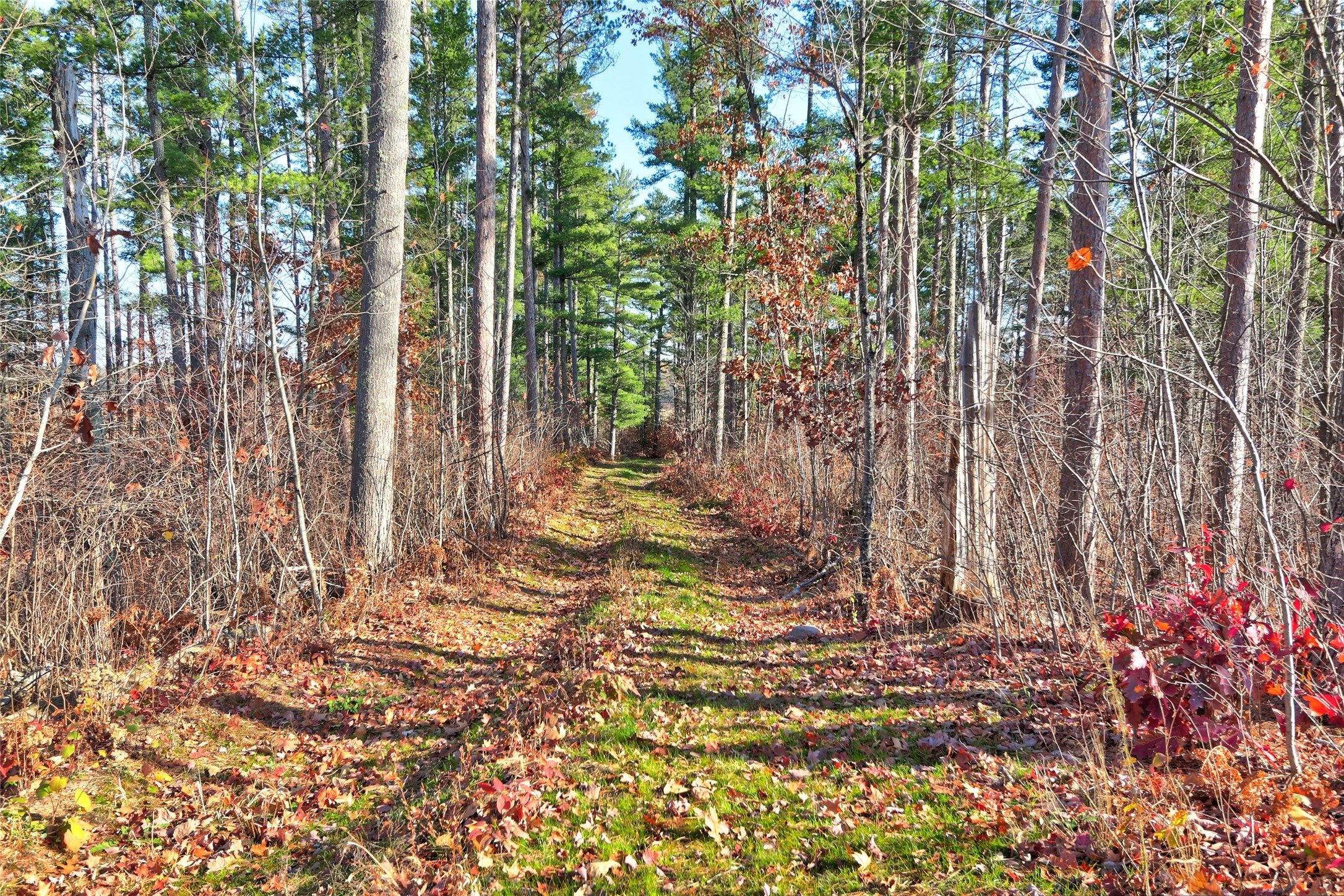 11312n Vasa Road Property Photo 1