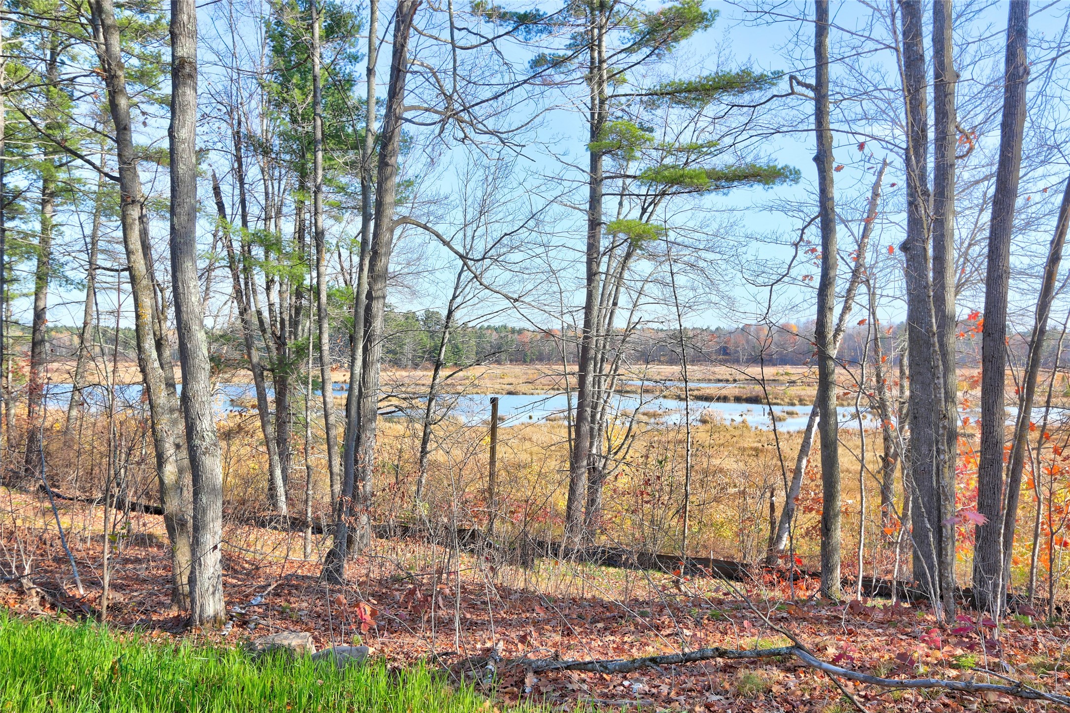 11344n Vasa Road Property Photo 1