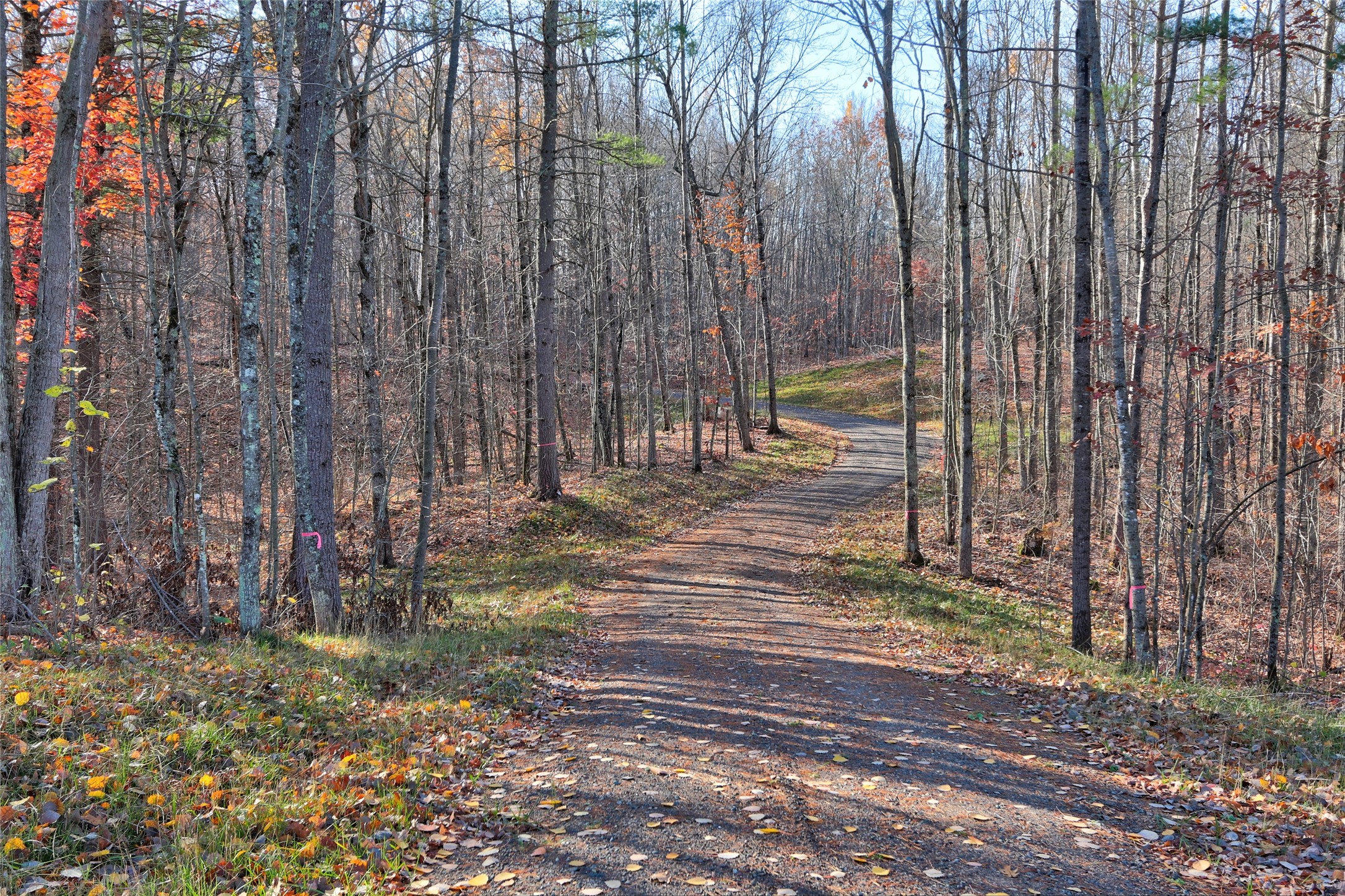 11369n Vasa Road Property Photo 1