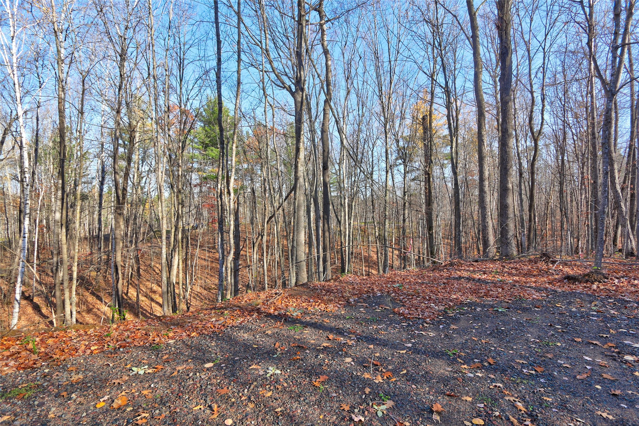 11369n Vasa Road Property Photo 3
