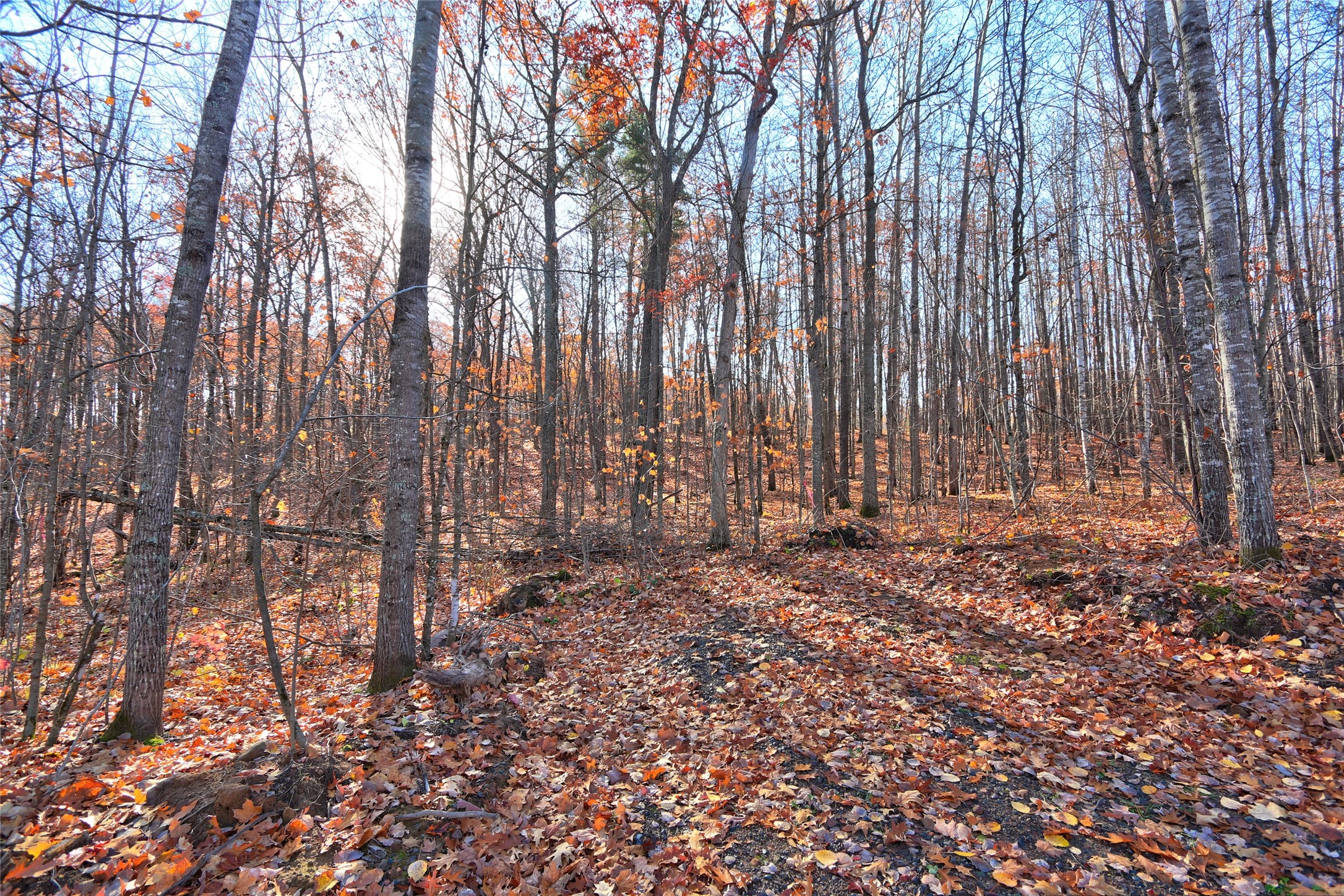 11369n Vasa Road Property Photo 4