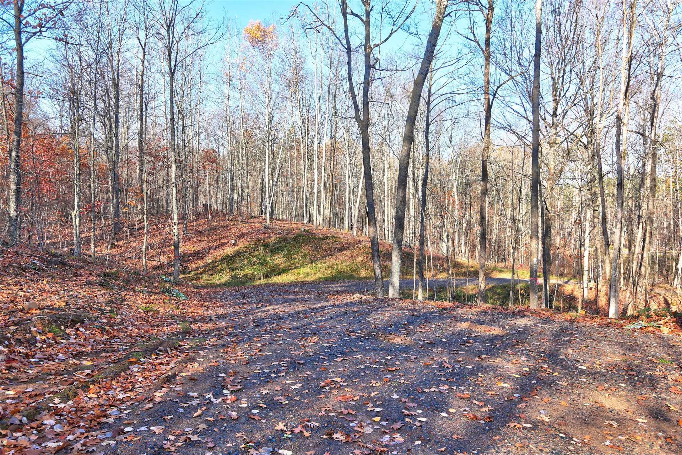 11369n Vasa Road Property Photo 5