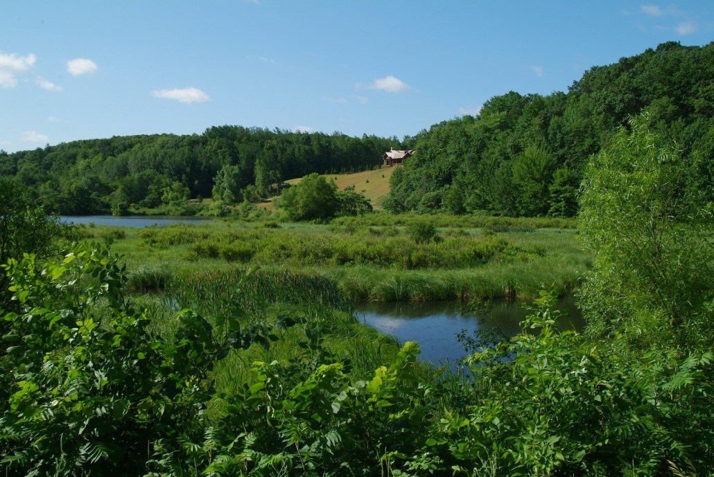 Lot 123 24th Avenue Property Photo 25
