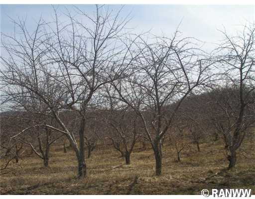 Lot 16 198th Street Property Photo 1