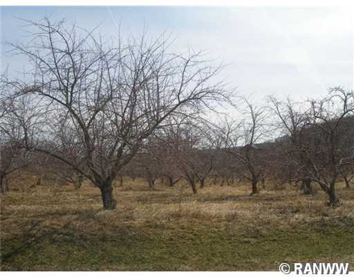 Lot 19 196th Street Property Photo 1