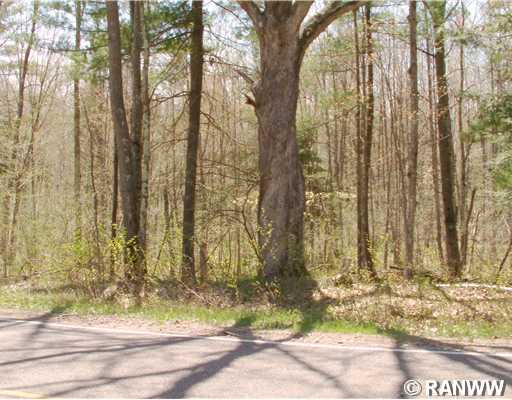 0 Chippewa Avenue Property Photo 1