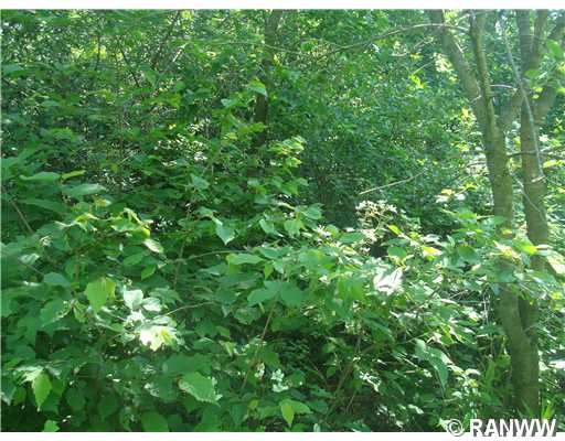 Lot 1 Hwy H Property Photo 1