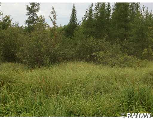 0 295th Street Property Photo 1