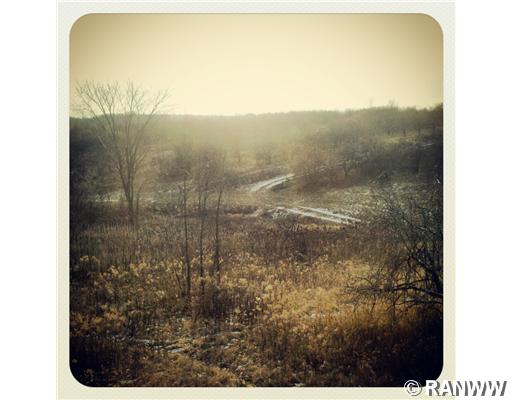 0 100th Street Property Photo 1