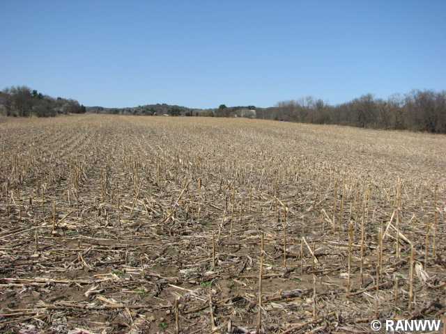 Lot 1 Hwy M Property Photo 1
