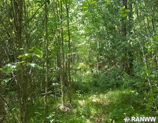 Lot 2 72nd Avenue Property Photo 1