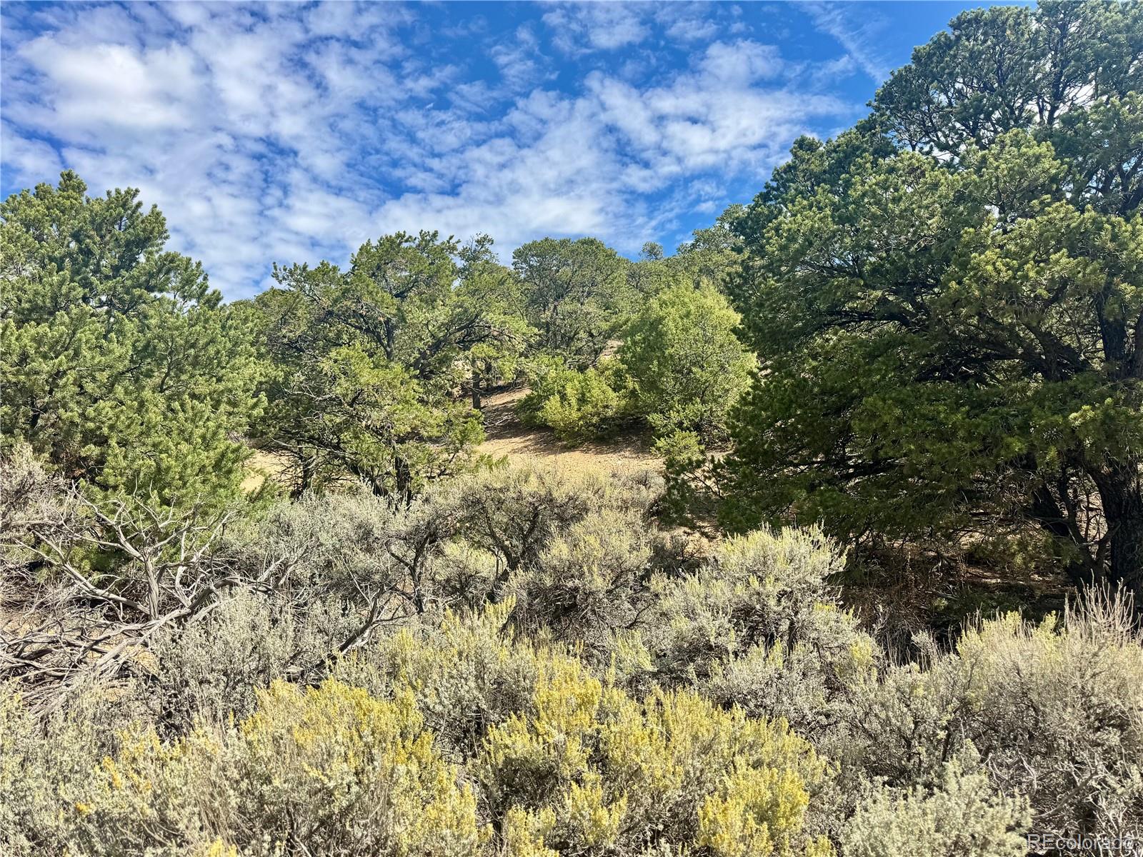 Lot 1374 Carter Property Photo 1