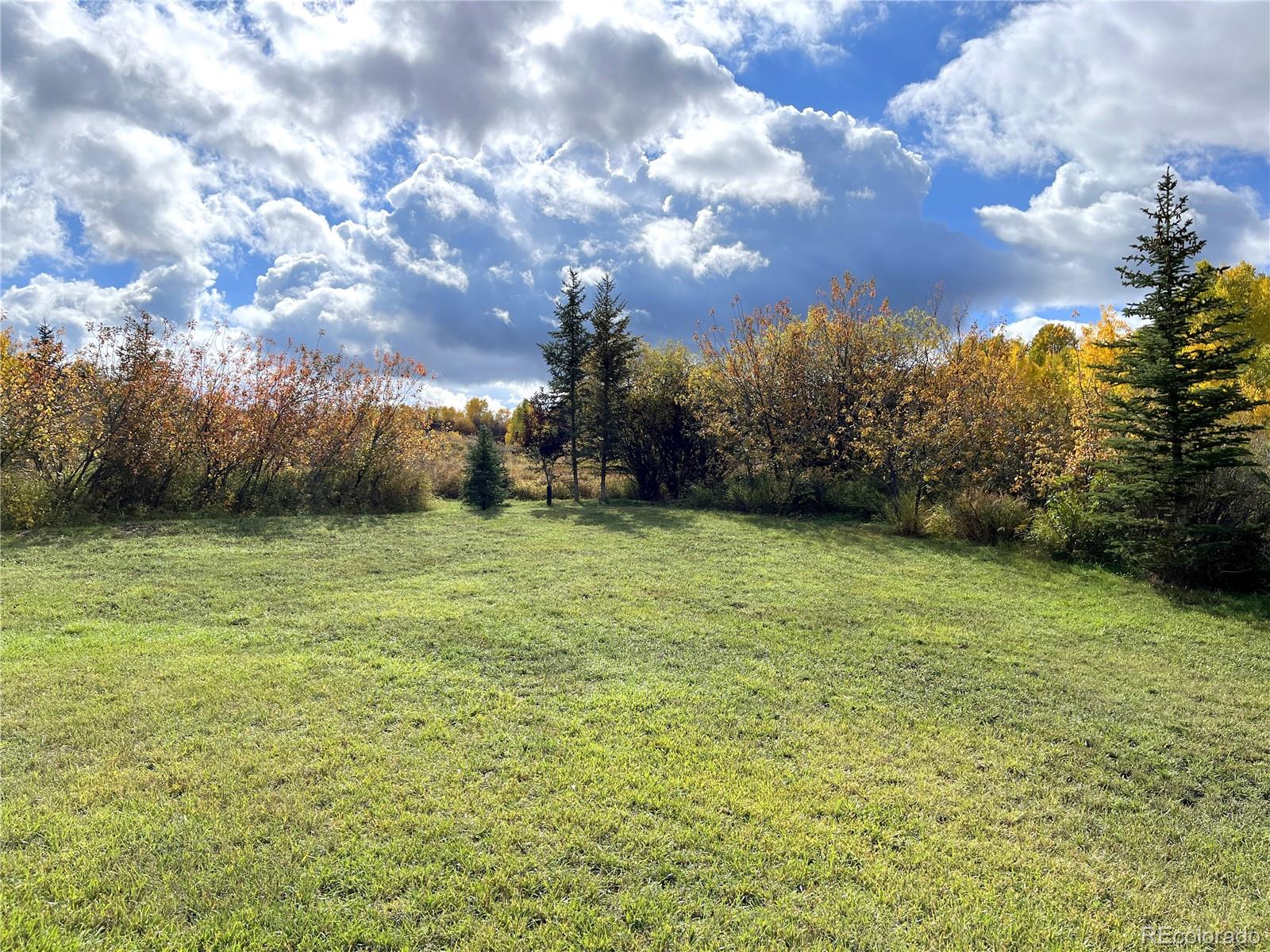 29950 Rock Point Trail Property Photo 14