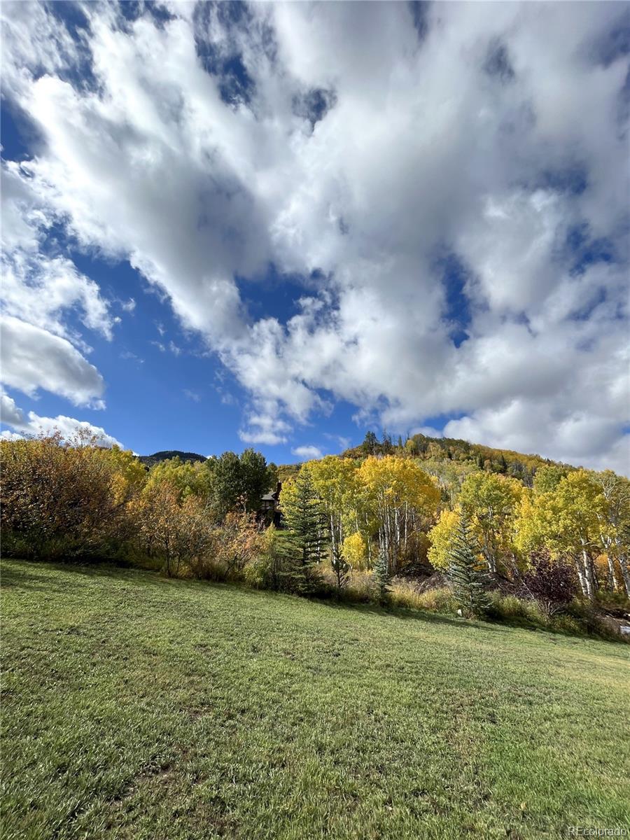 29950 Rock Point Trail Property Photo 22